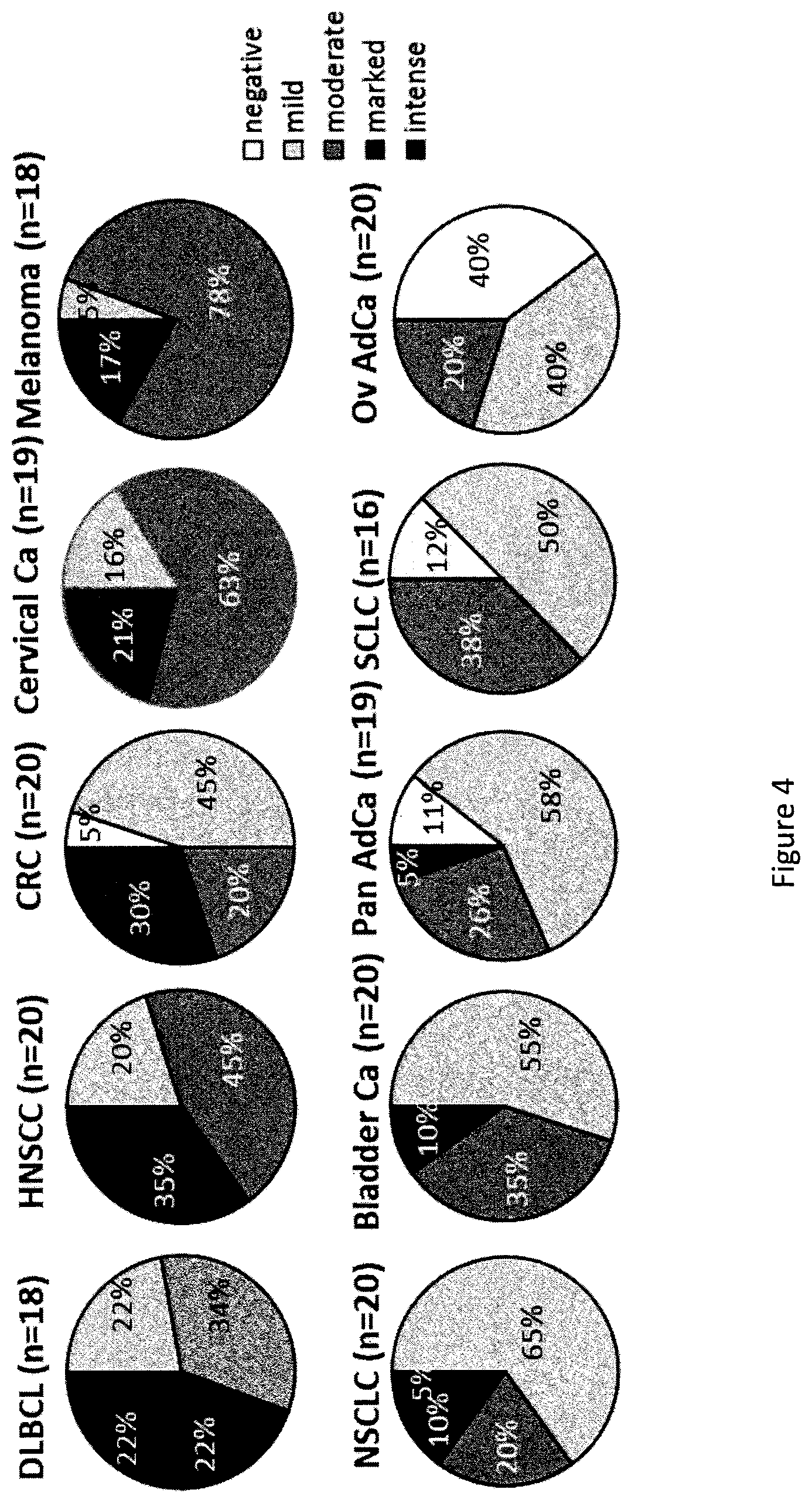 Patent US12139551 Figure 4 – Anti-IDO antibody and uses thereof