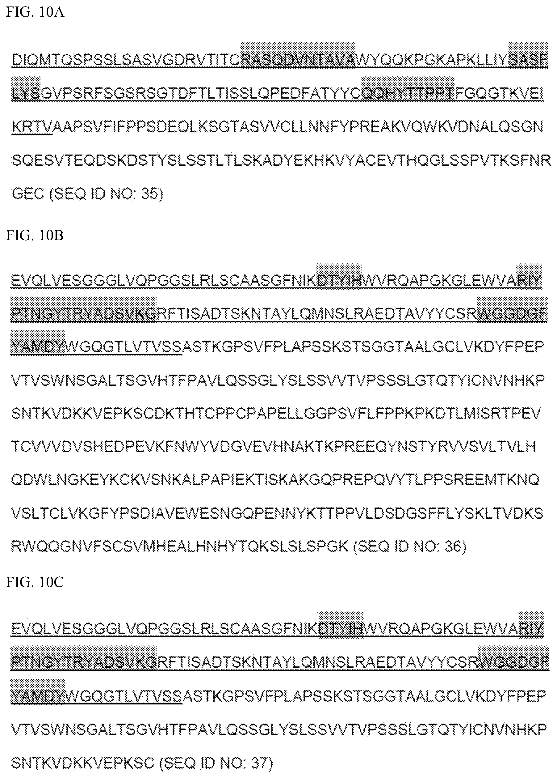 Patent US12139552 Figure 10 – Method for improving affinity of antibody for antigen and use thereof