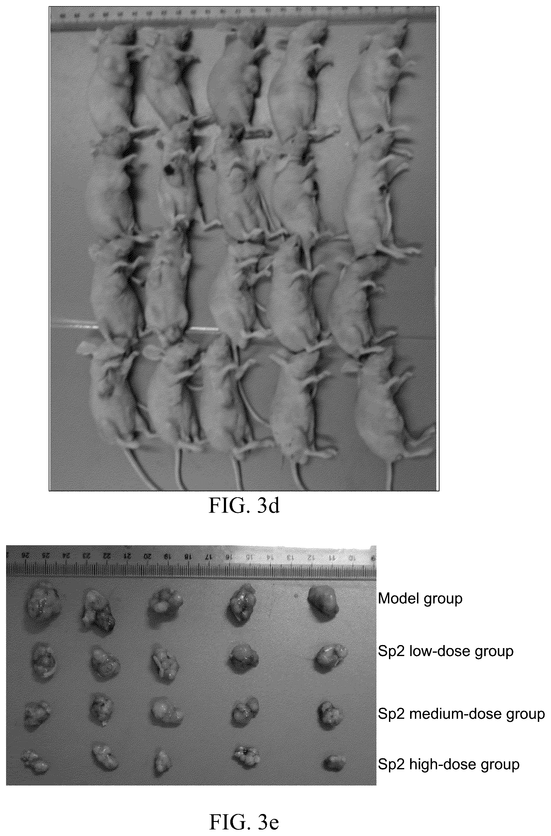 Patent US12139557 Figure 8 – Synthetic peptide SP2 and application thereof