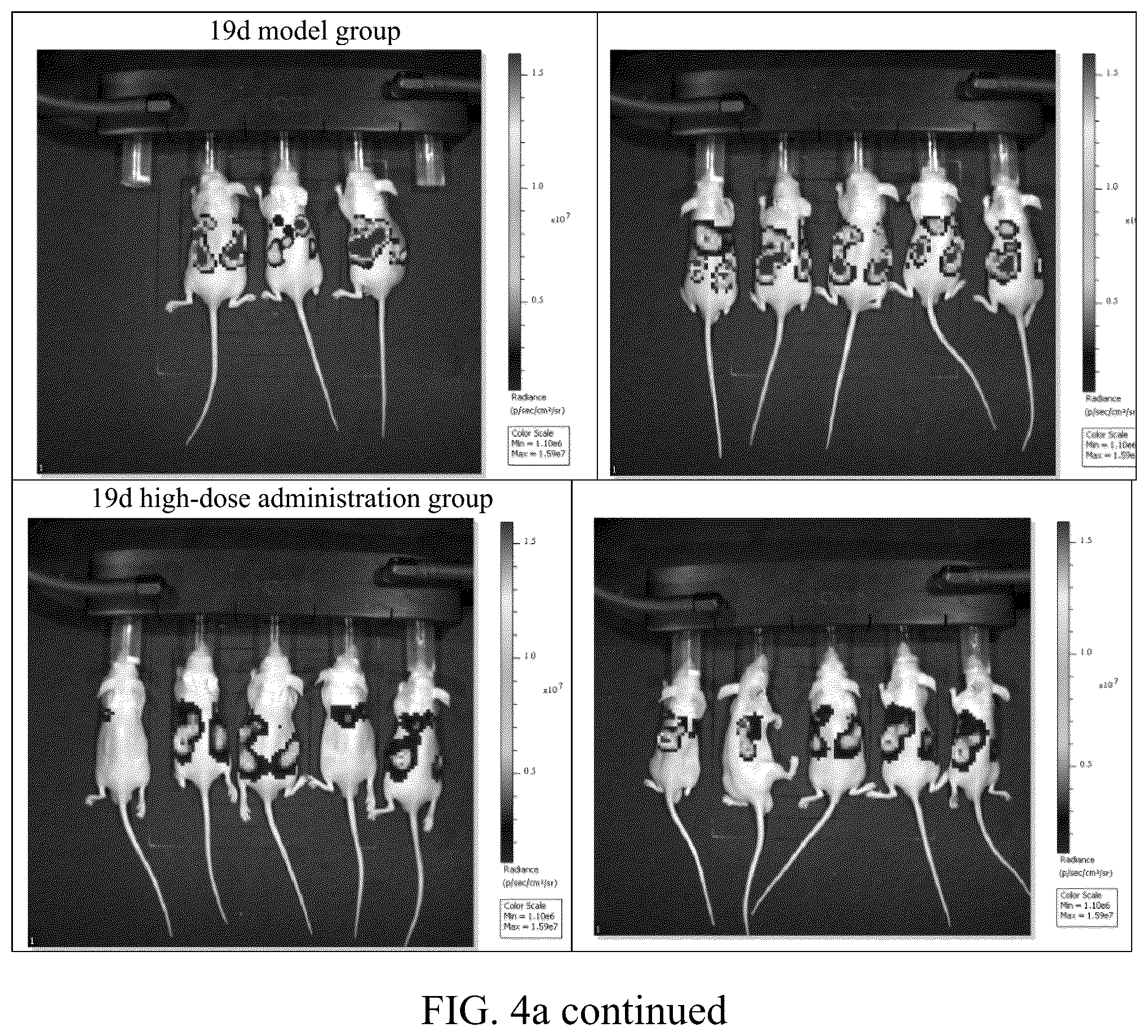 Patent US12139557 Figure 10 – Synthetic peptide SP2 and application thereof