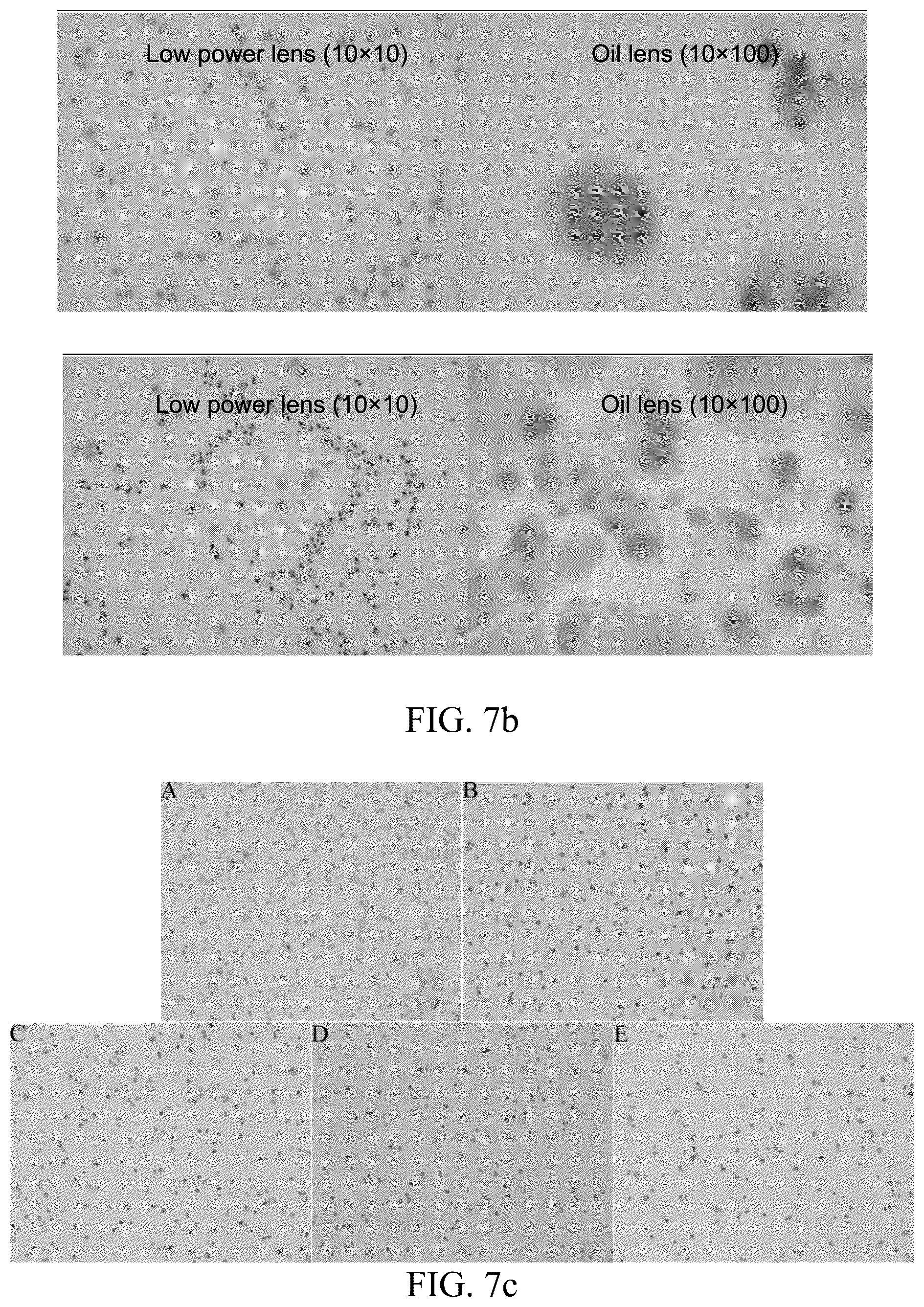 Patent US12139557 Figure 18 – Synthetic peptide SP2 and application thereof