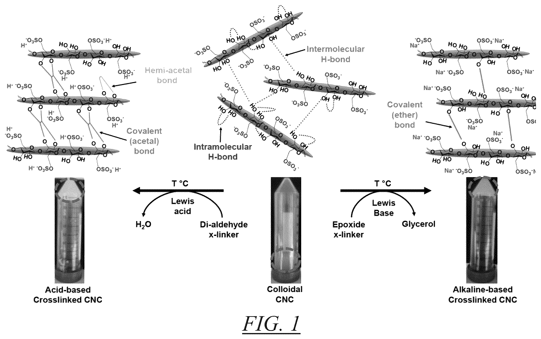 Patent US12139559 — Crosslinked colloidal cellulose nanocrystals and methods of preparation and use thereof — Figure 1