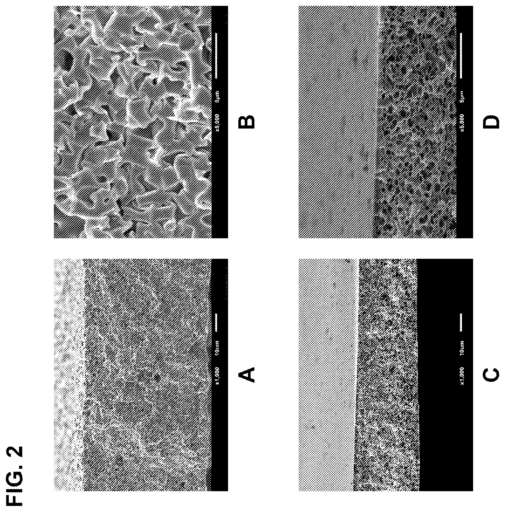 Patent US12139587 Figure 2 – Method for creating a porous film through aqueous phase separation