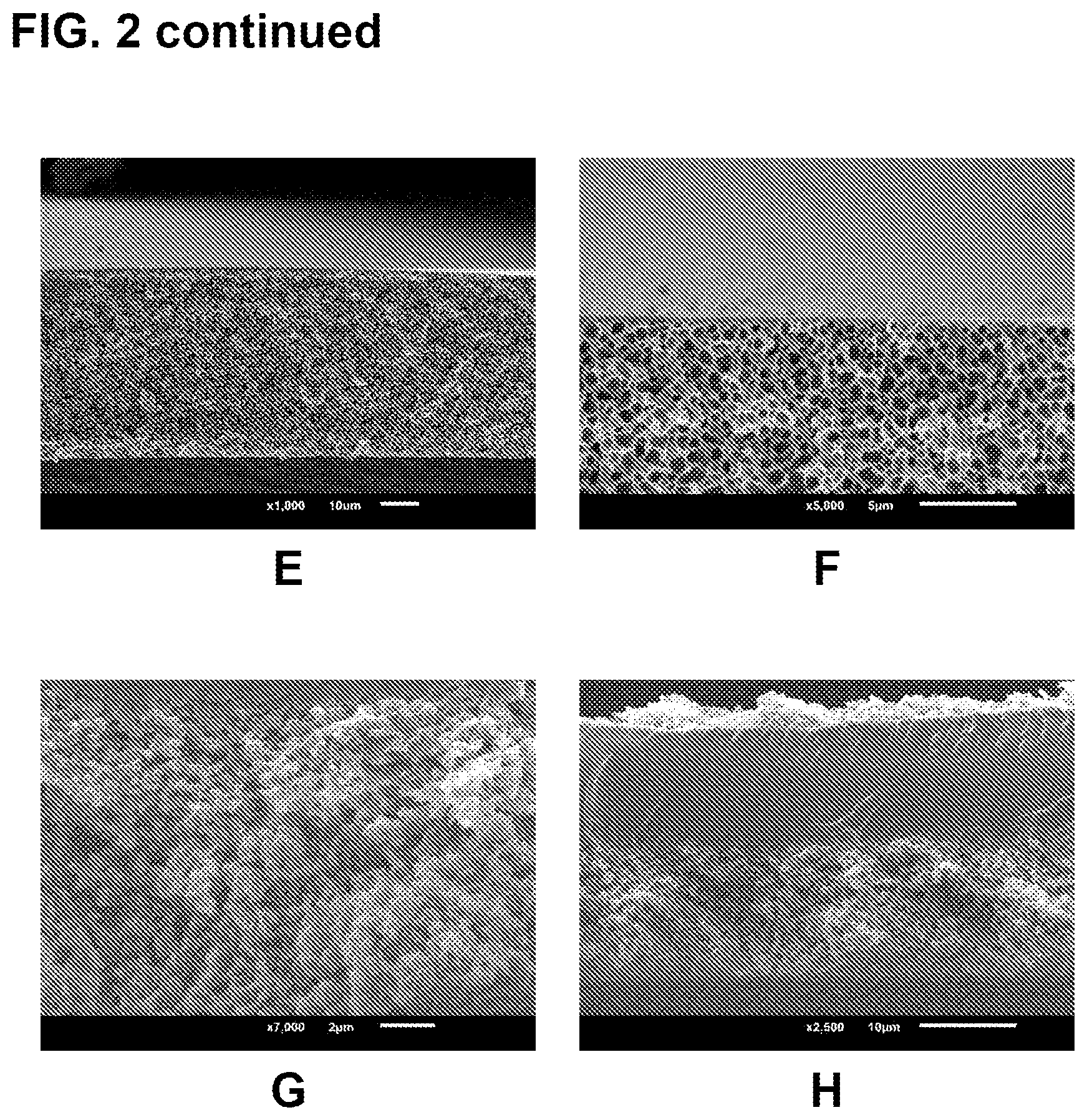 Patent US12139587 Figure 3 – Method for creating a porous film through aqueous phase separation
