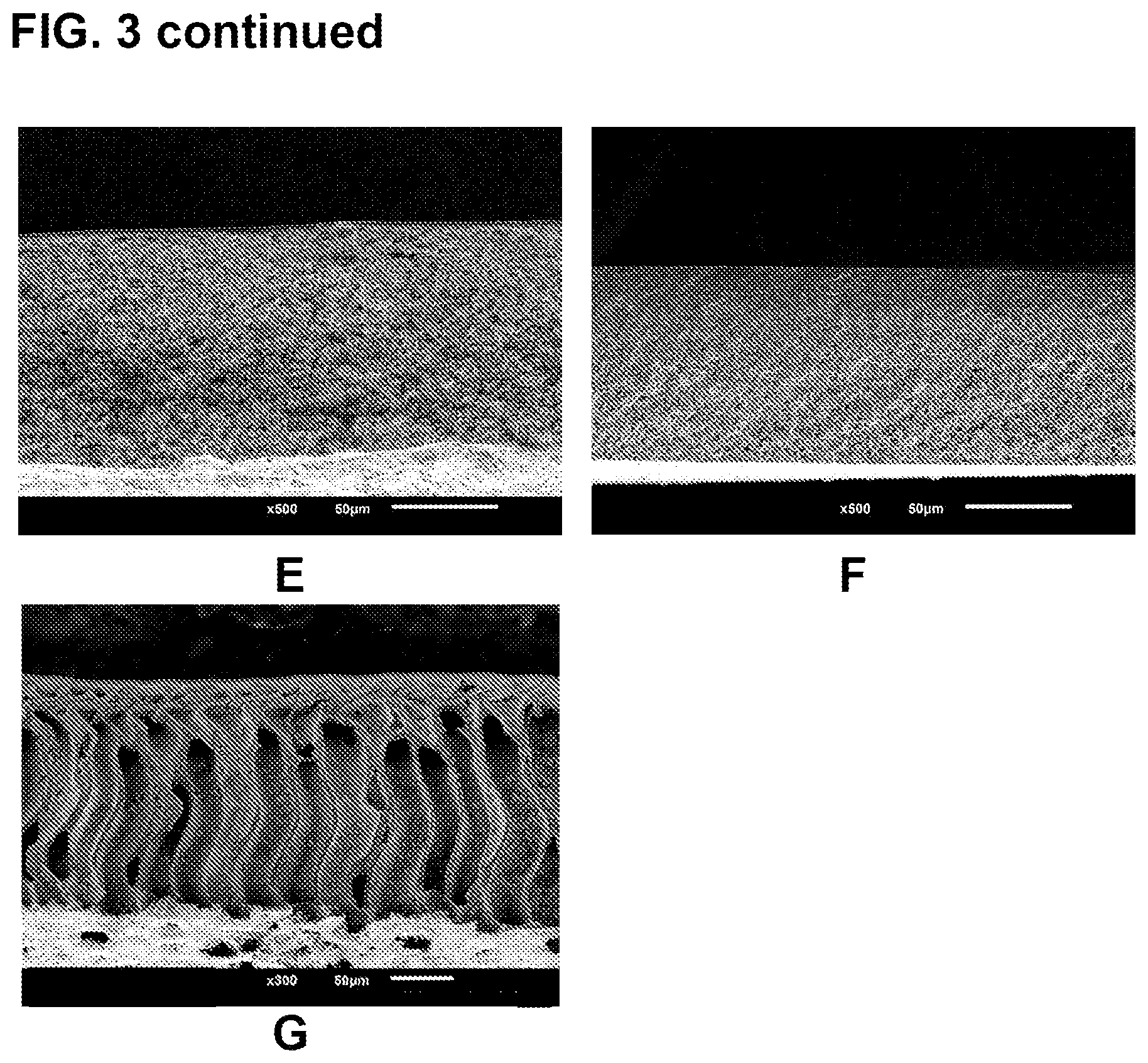 Patent US12139587 Figure 5 – Method for creating a porous film through aqueous phase separation
