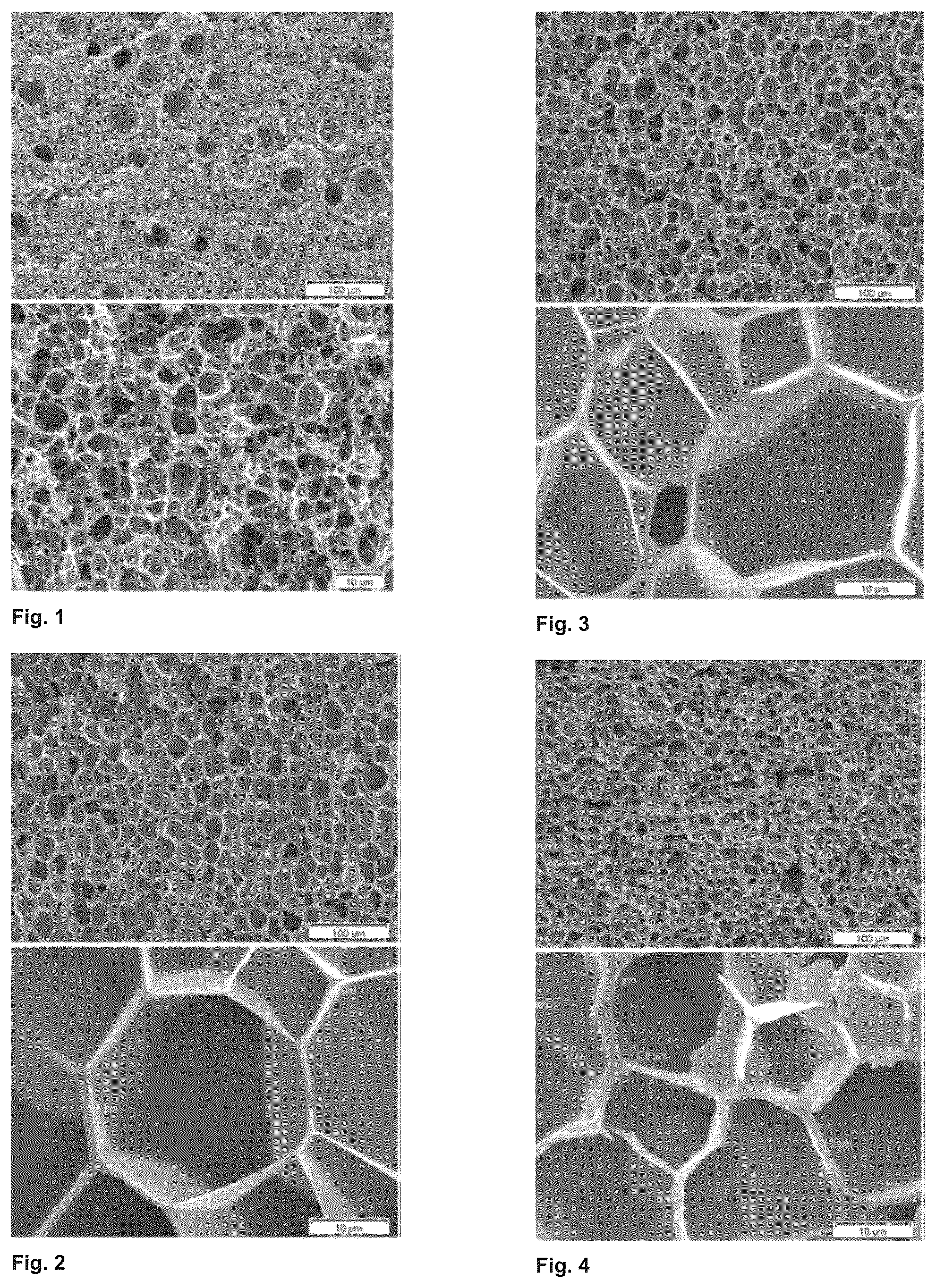 Patent US12139605 Figure 1 – Polyether block amide-poly(meth)acrylate foams