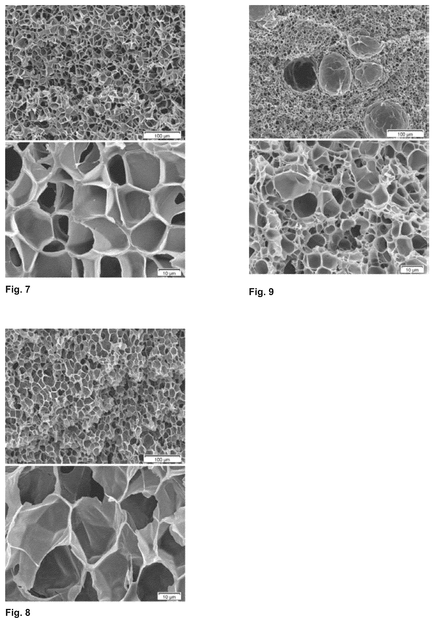 Patent US12139605 Figure 3 – Polyether block amide-poly(meth)acrylate foams