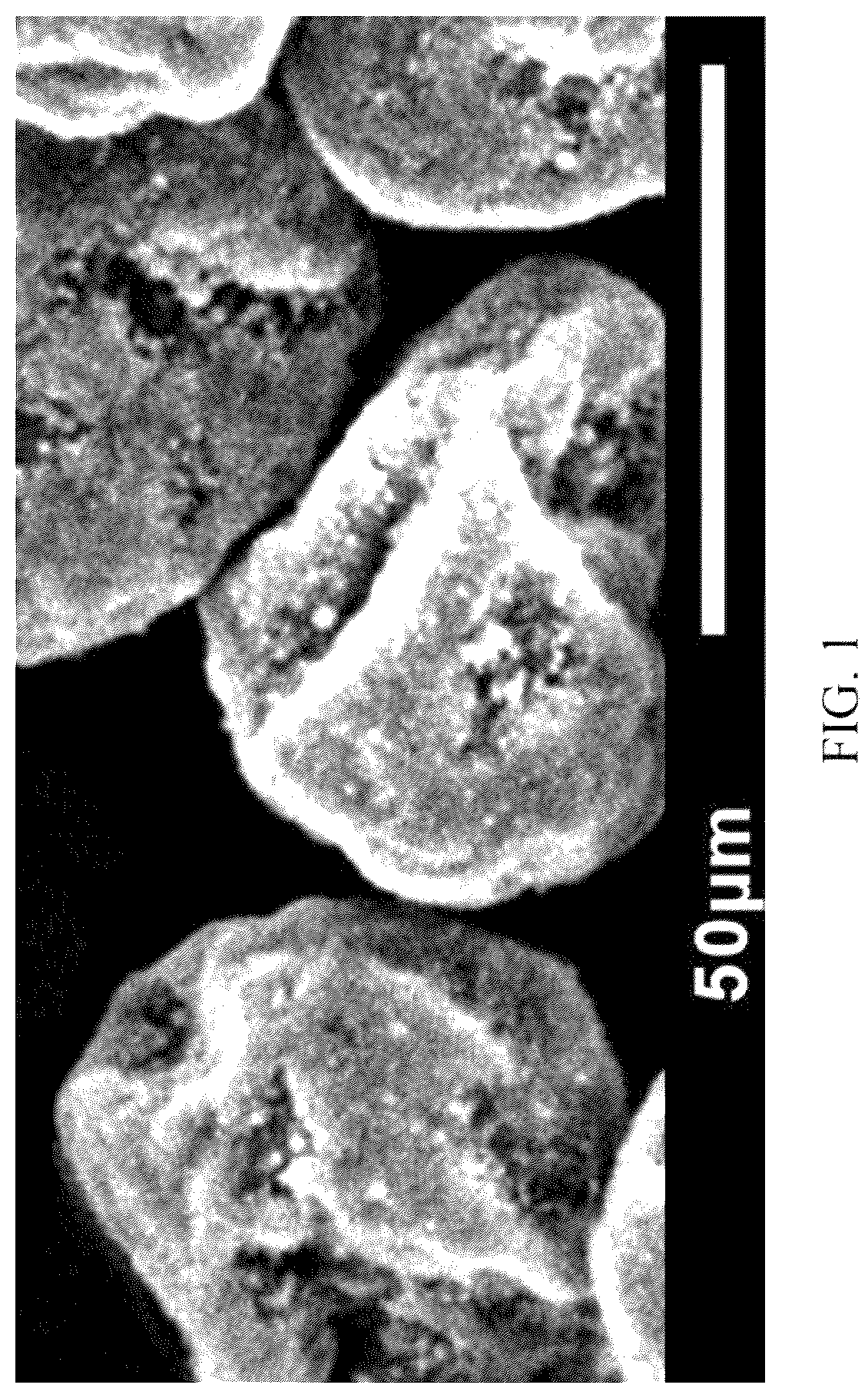 Patent US12139611 — High molecular polymer powder material and preparation method thereof — Figure 1