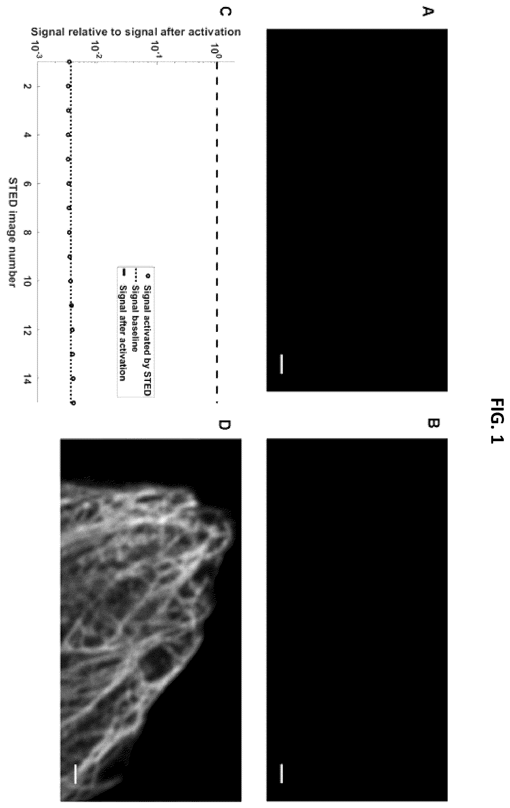 Patent US12139614 Figure 1 – Photoactivatable fluorescent dyes with hydrophilic caging groups and their use