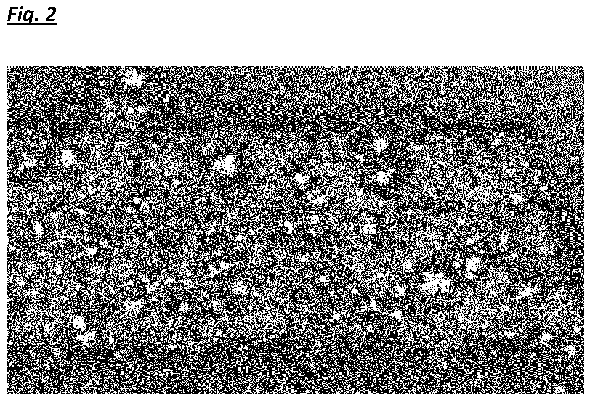 Patent US12139635 Figure 2 – Coatings for waterproofing electronic components