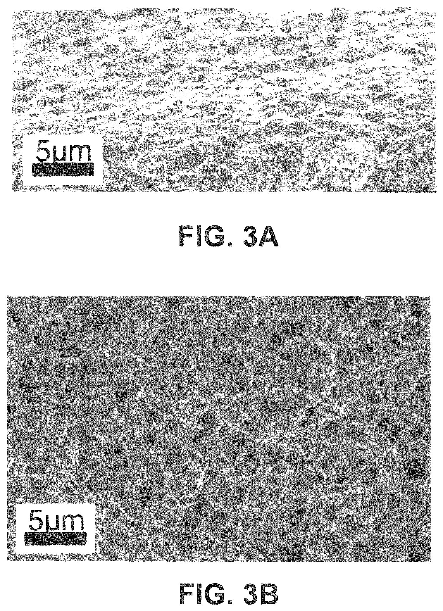 Patent US12139638 Figure 3 – Sinterable metal paste for use in additive manufacturing