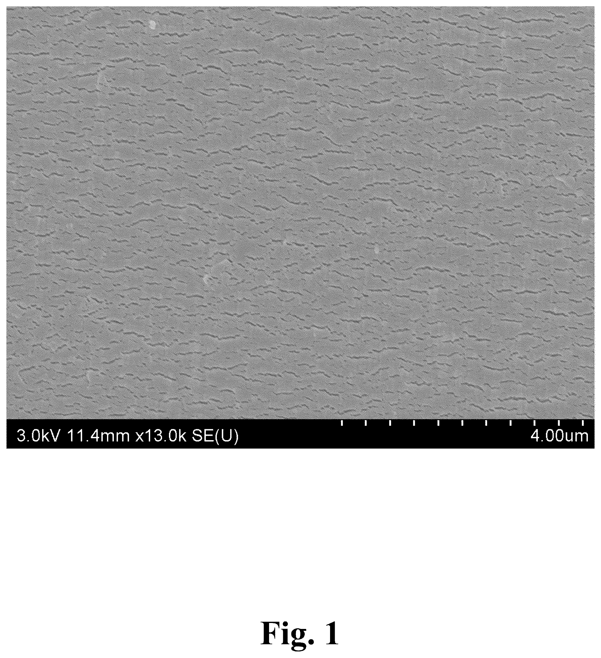Patent US12139650 Figure 1 – Method for nano-depth surface activation of PTFE-based membrane