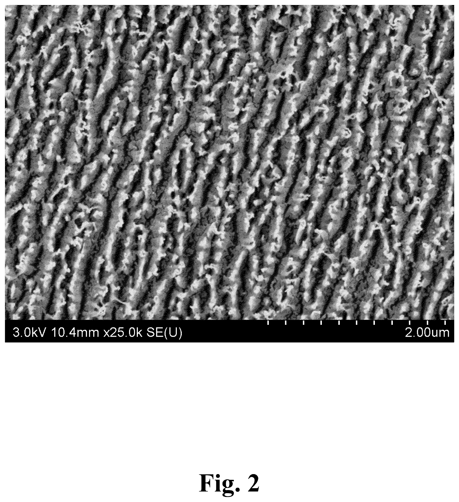 Patent US12139650 Figure 2 – Method for nano-depth surface activation of PTFE-based membrane