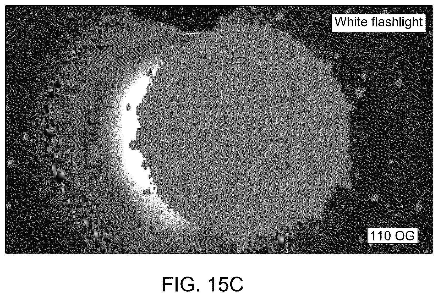 Patent US12139654 Figure 19 – Praseodymium-doped upconversion phosphor
