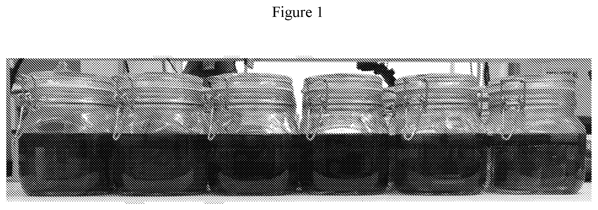Patent US12139695 Figure 1 – Method for conditioning wood barrels