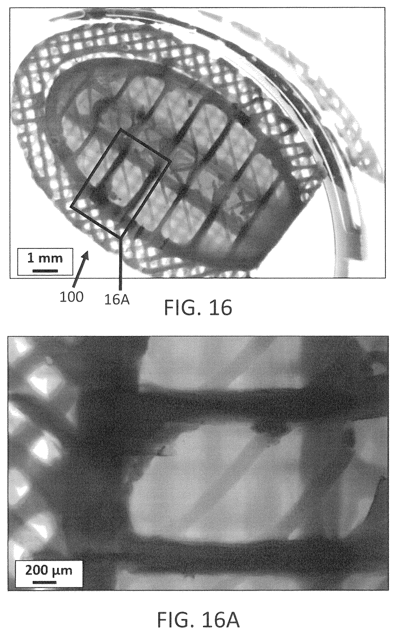 Patent US12139696 Figure 19 – Biointegrative implantable cell encapsulation device and system