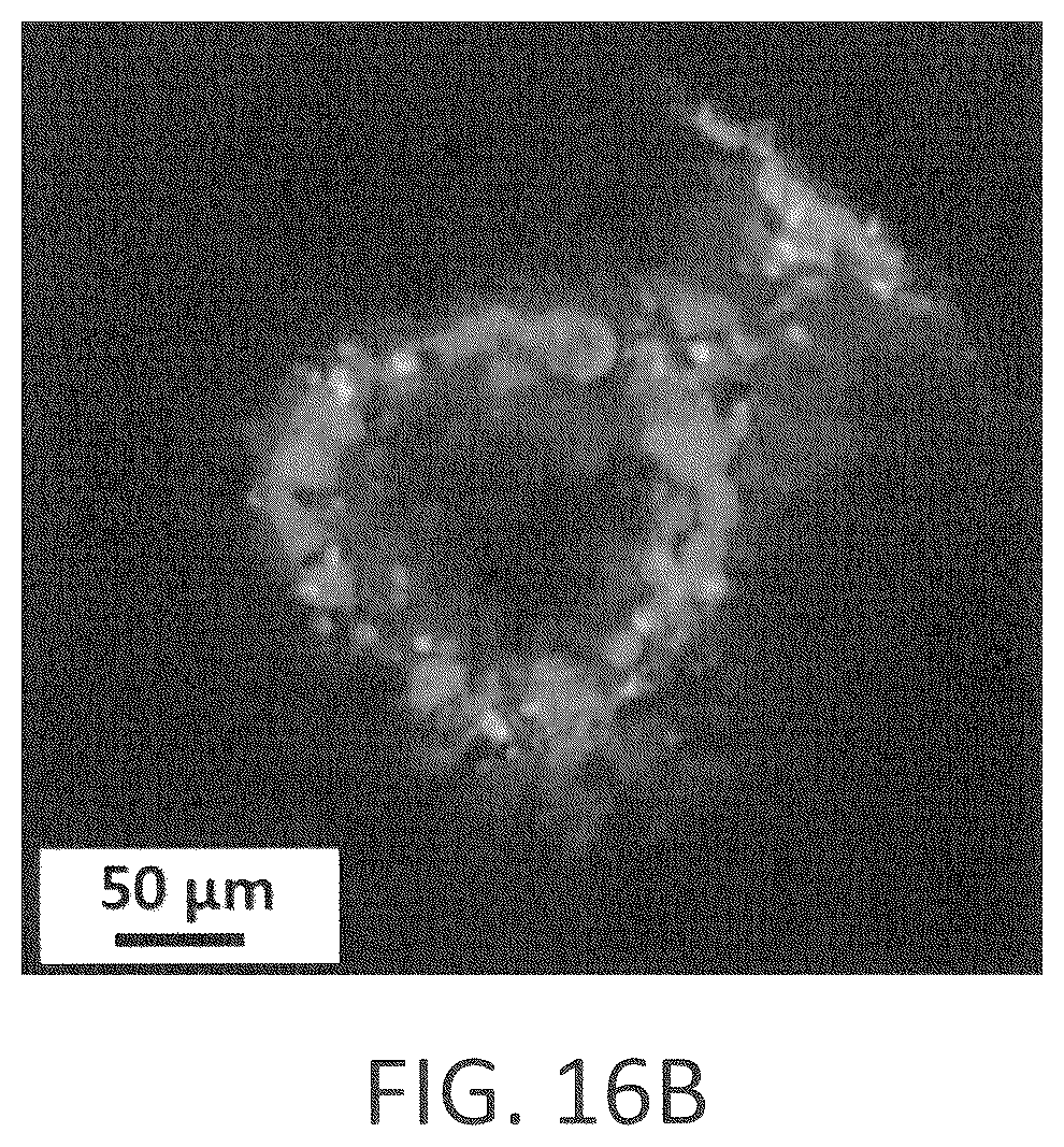 Patent US12139696 Figure 20 – Biointegrative implantable cell encapsulation device and system