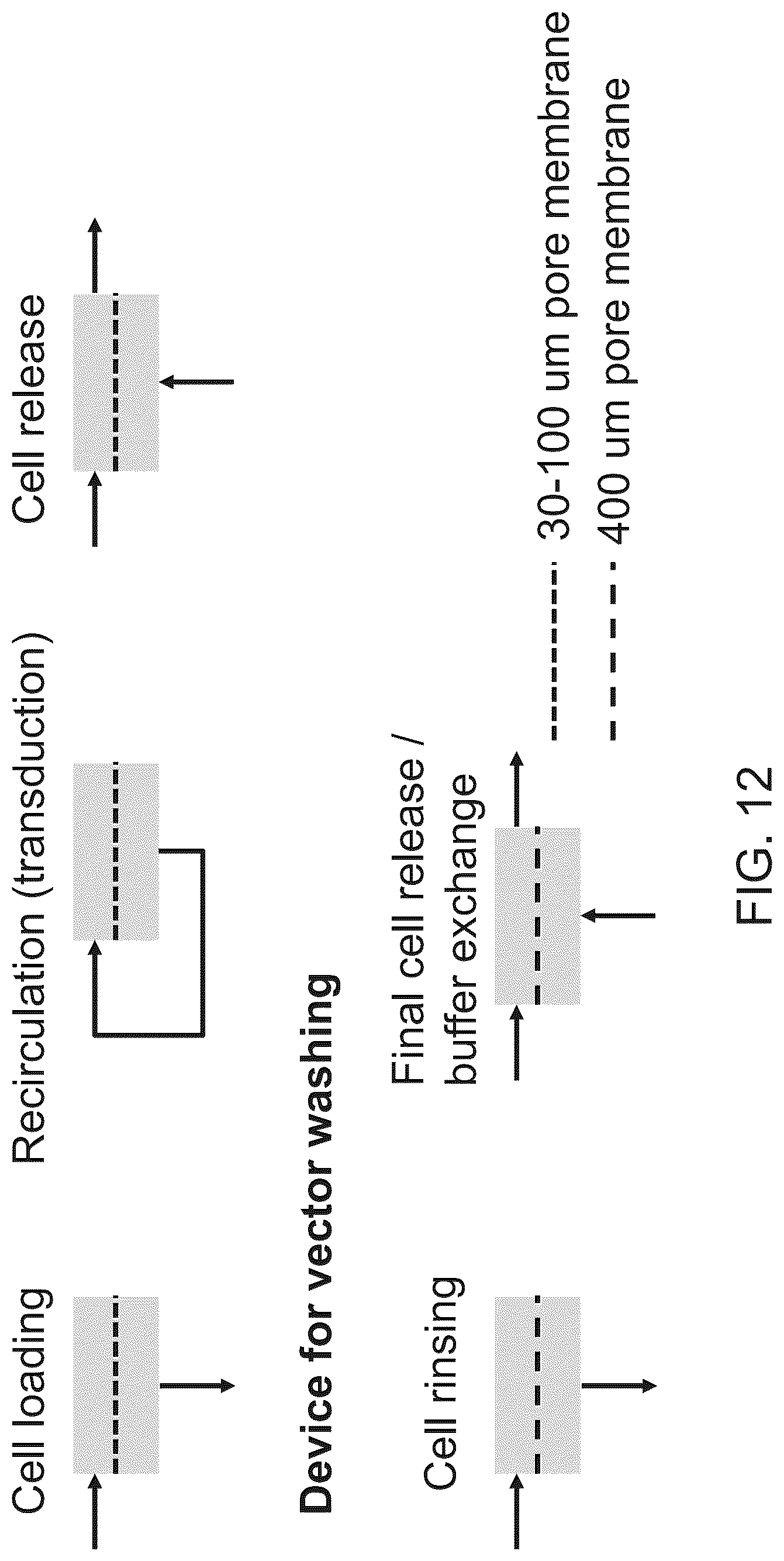 Patent US12139697 Figure 12 – Apparatus for efficient genetic modification of cells