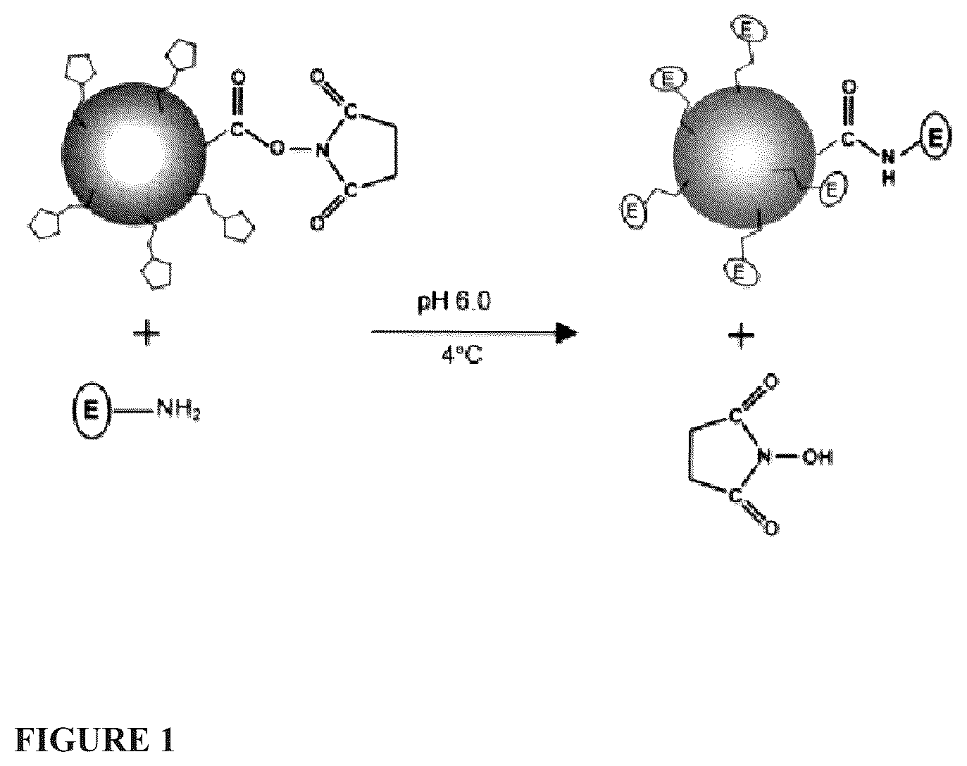 Patent US12139701 Figure 1 – Biofunctional materials