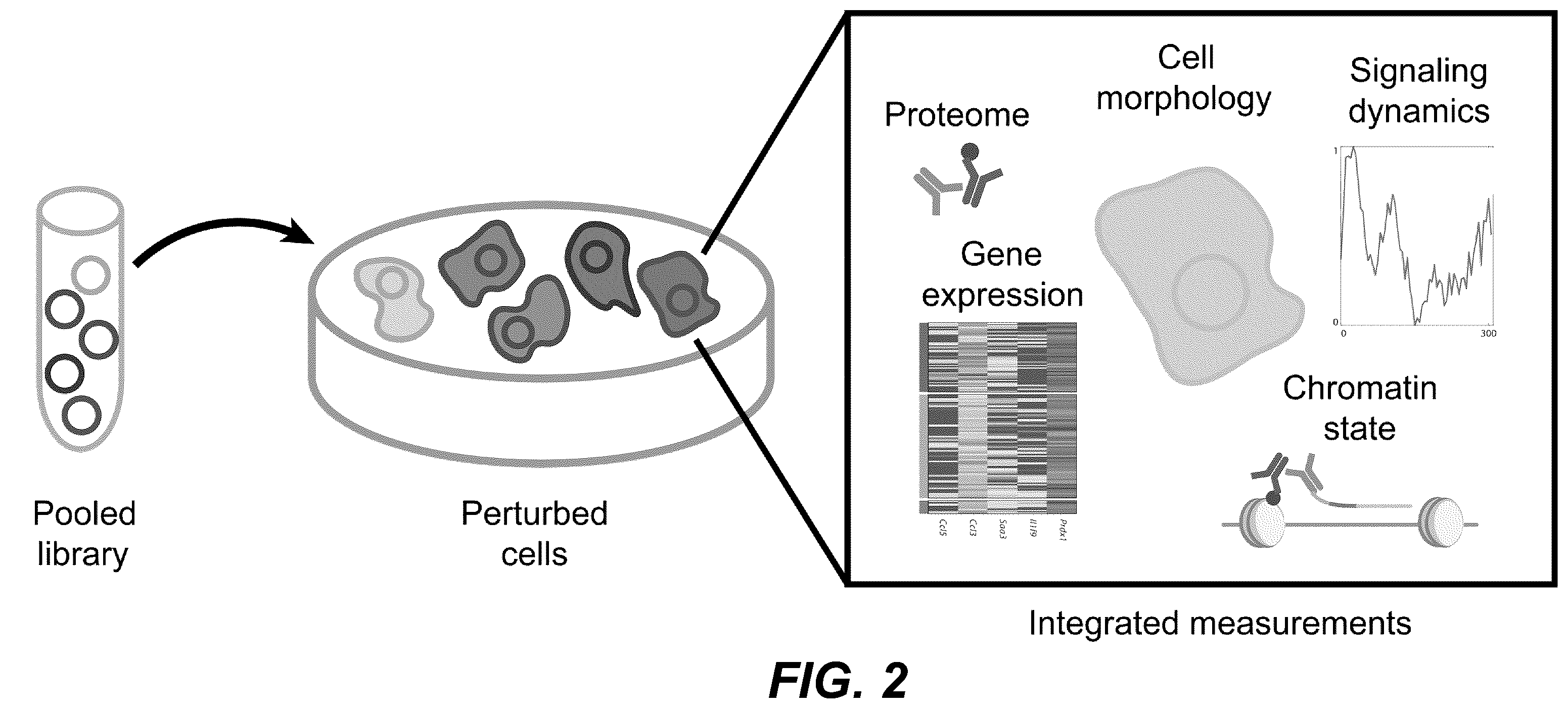 Patent US12139705 Figure 2 – Deep learning enabled spatial optical barcodes for pooled library screens