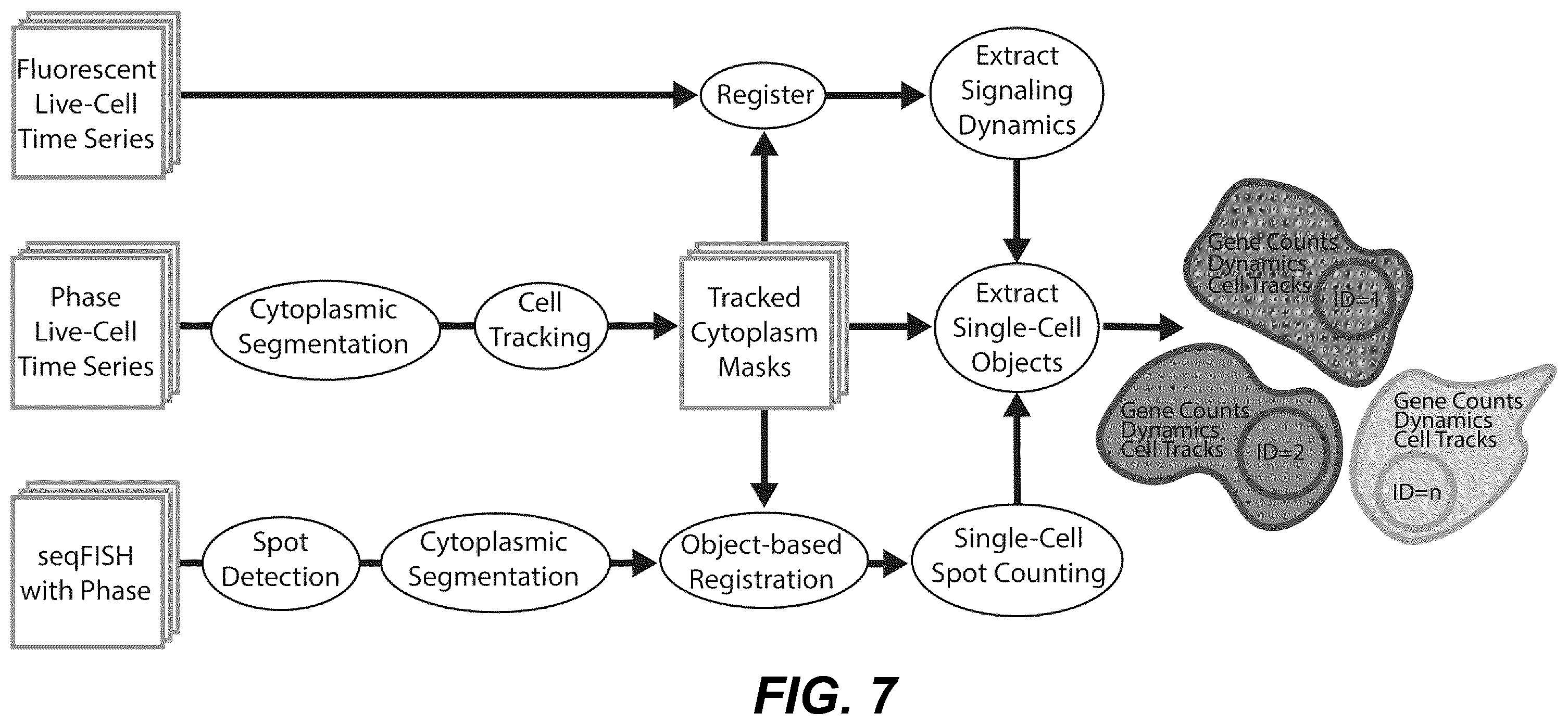 Patent US12139705 Figure 8 – Deep learning enabled spatial optical barcodes for pooled library screens