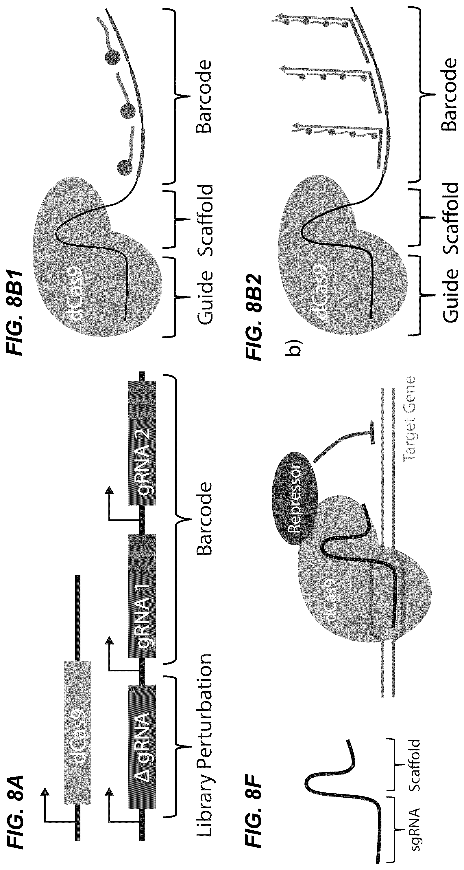 Patent US12139705 Figure 9 – Deep learning enabled spatial optical barcodes for pooled library screens