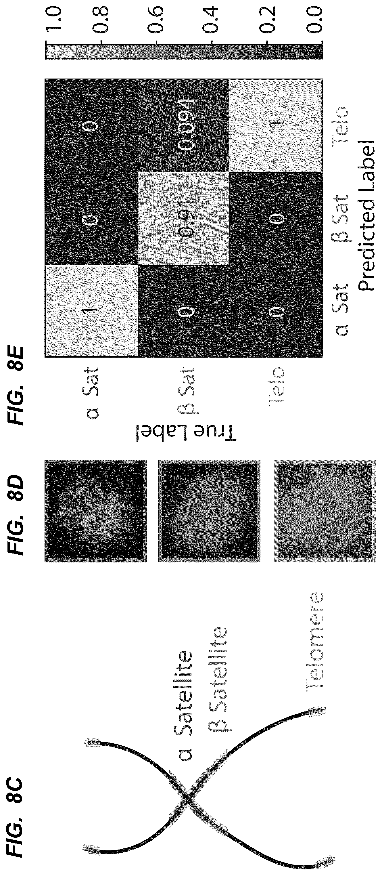 Patent US12139705 Figure 10 – Deep learning enabled spatial optical barcodes for pooled library screens