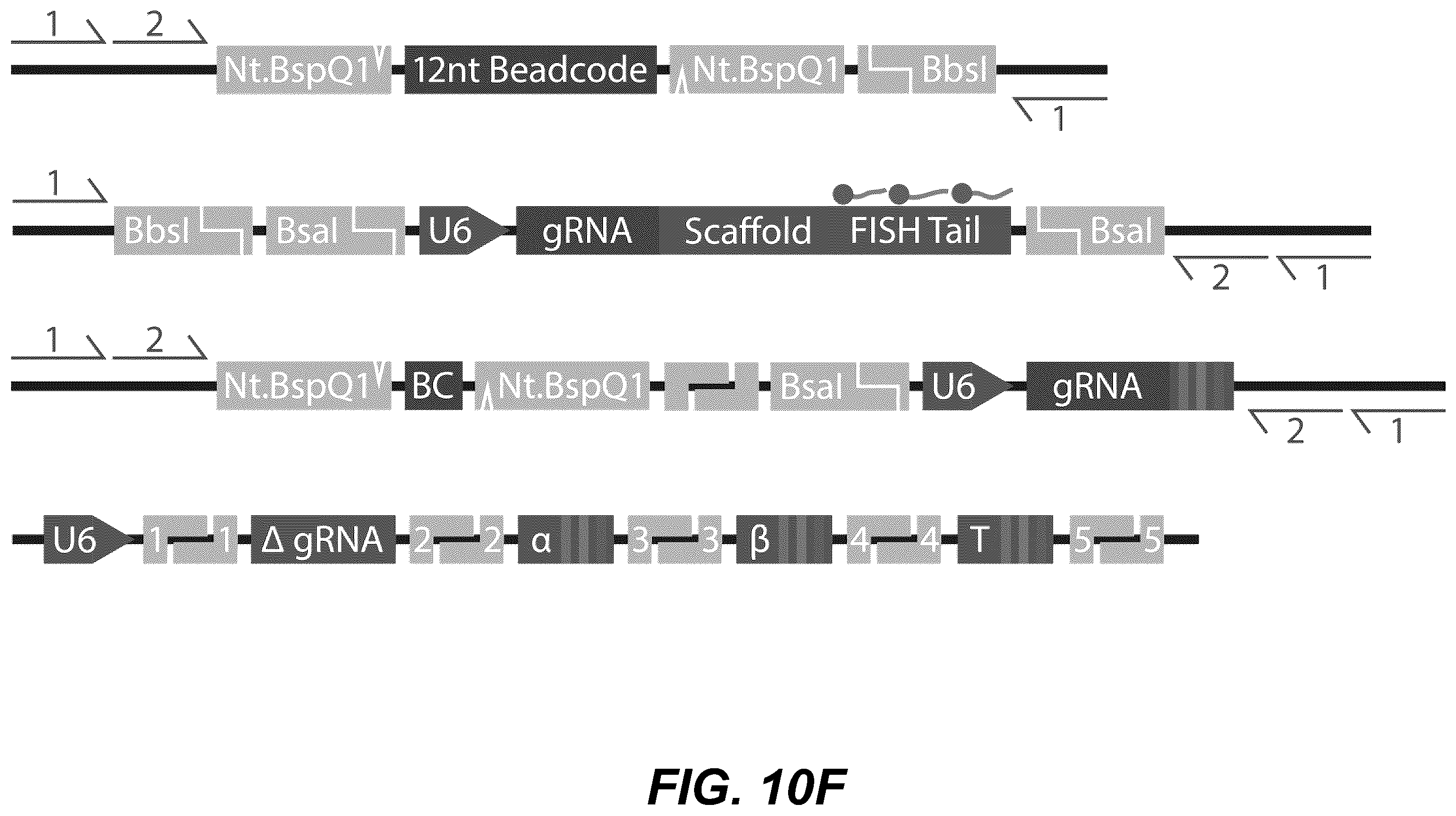 Patent US12139705 Figure 13 – Deep learning enabled spatial optical barcodes for pooled library screens