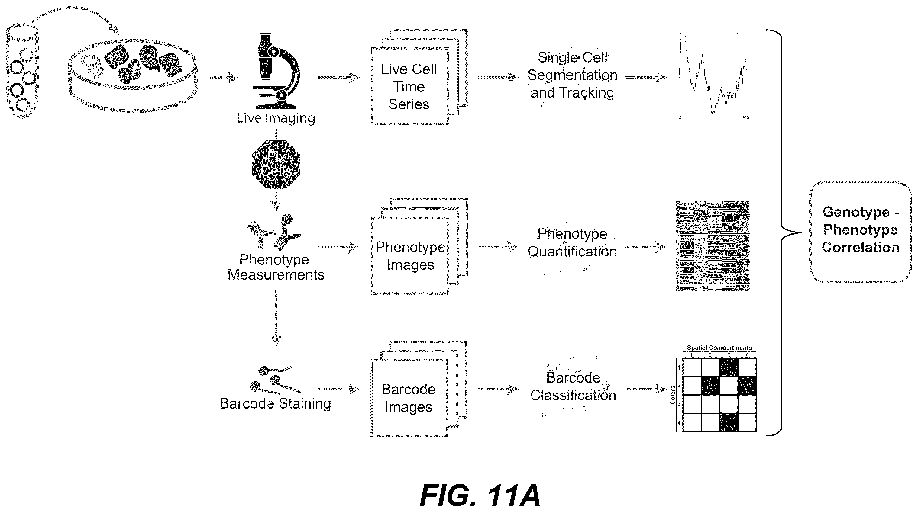 Patent US12139705 Figure 14 – Deep learning enabled spatial optical barcodes for pooled library screens