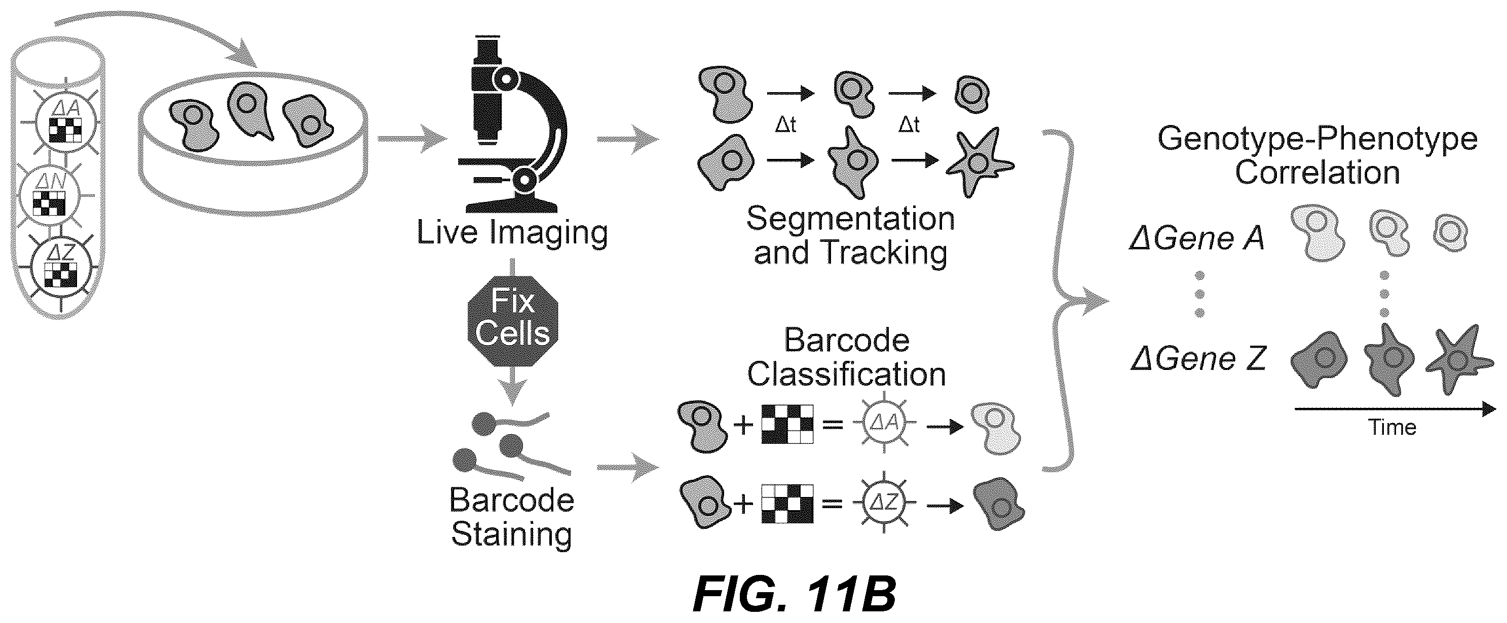 Patent US12139705 Figure 15 – Deep learning enabled spatial optical barcodes for pooled library screens