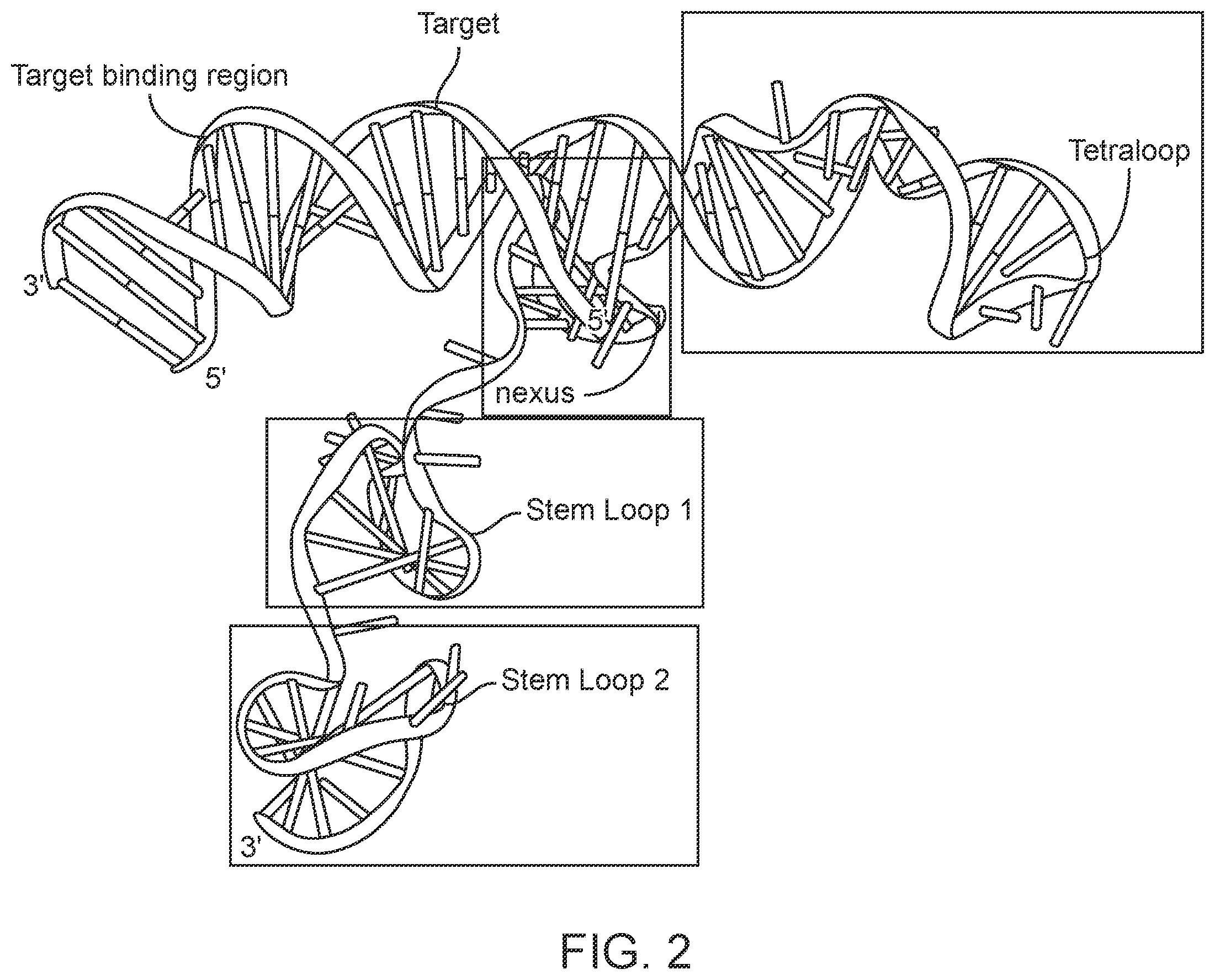 Patent US12139707 Figure 2 – Stabilized CRISPR complexes