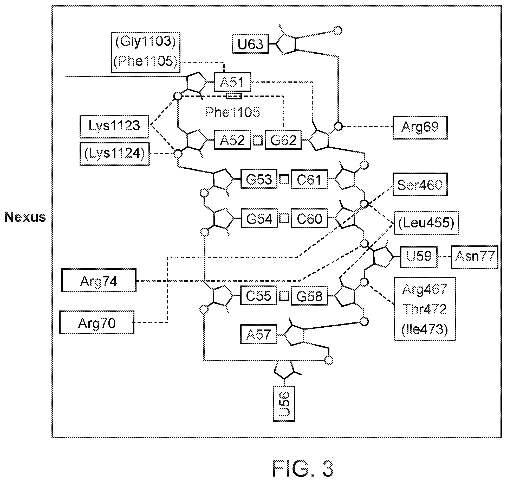 Patent US12139707 Figure 3 – Stabilized CRISPR complexes