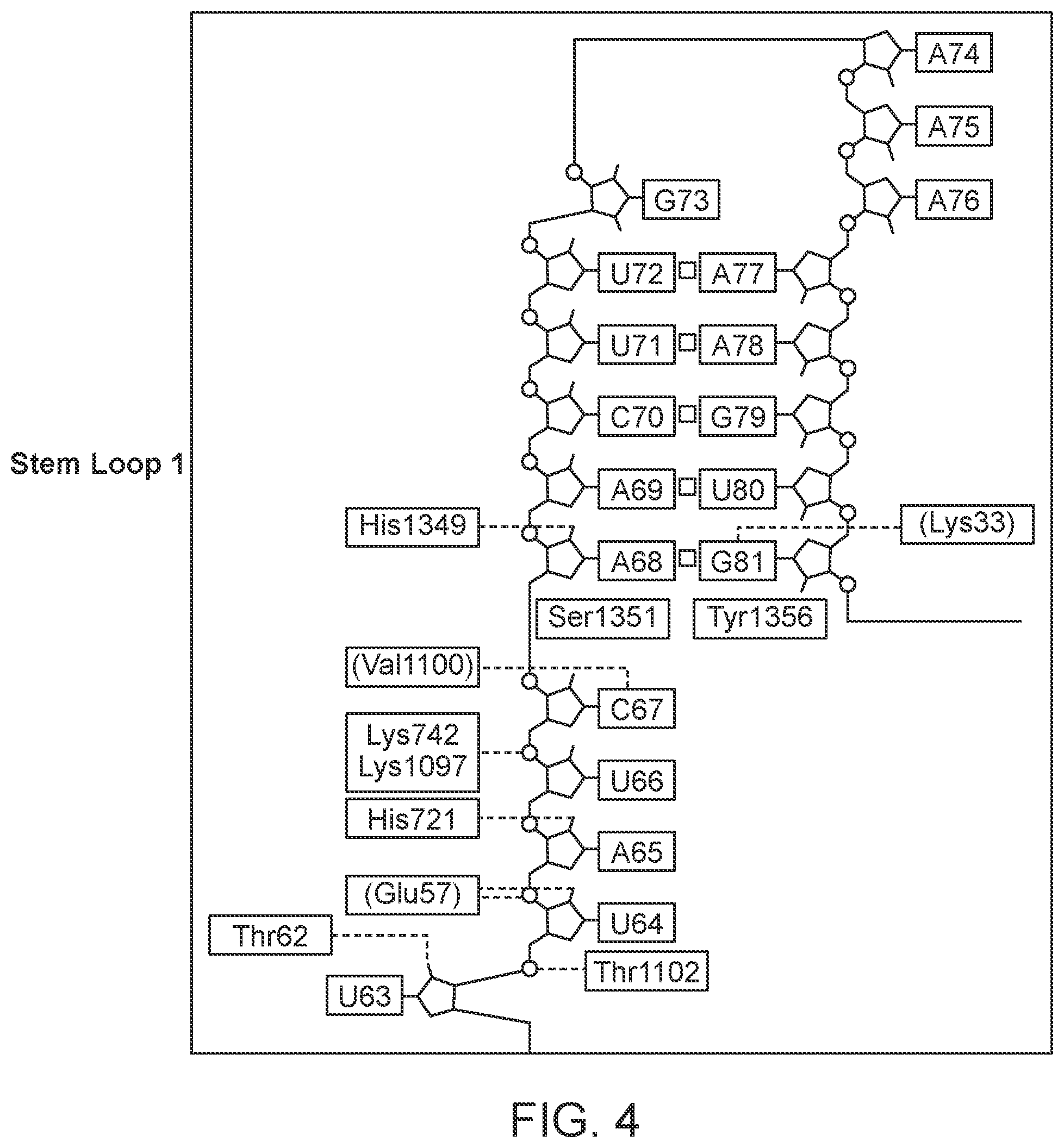Patent US12139707 Figure 4 – Stabilized CRISPR complexes