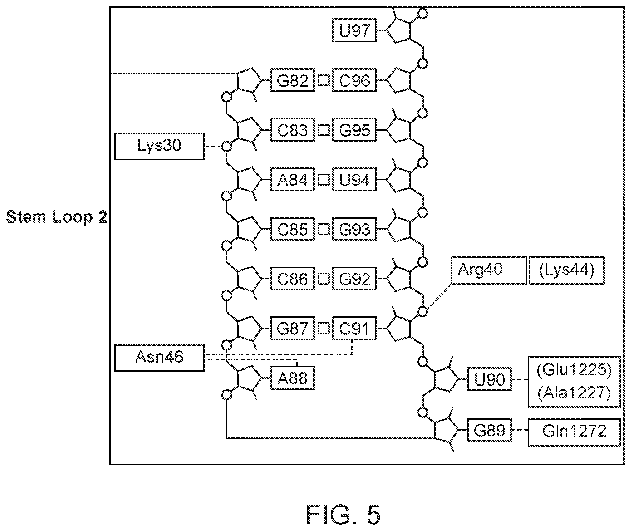 Patent US12139707 Figure 5 – Stabilized CRISPR complexes