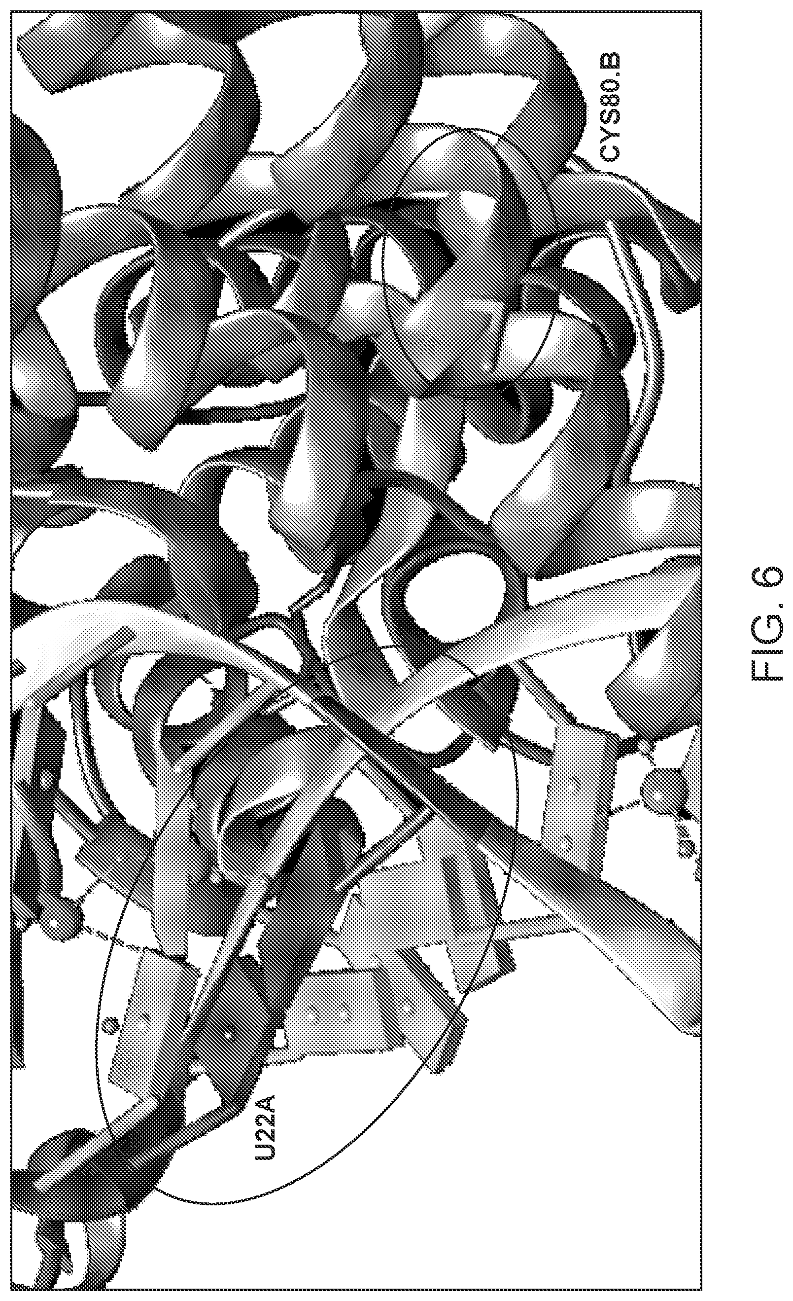 Patent US12139707 Figure 6 – Stabilized CRISPR complexes