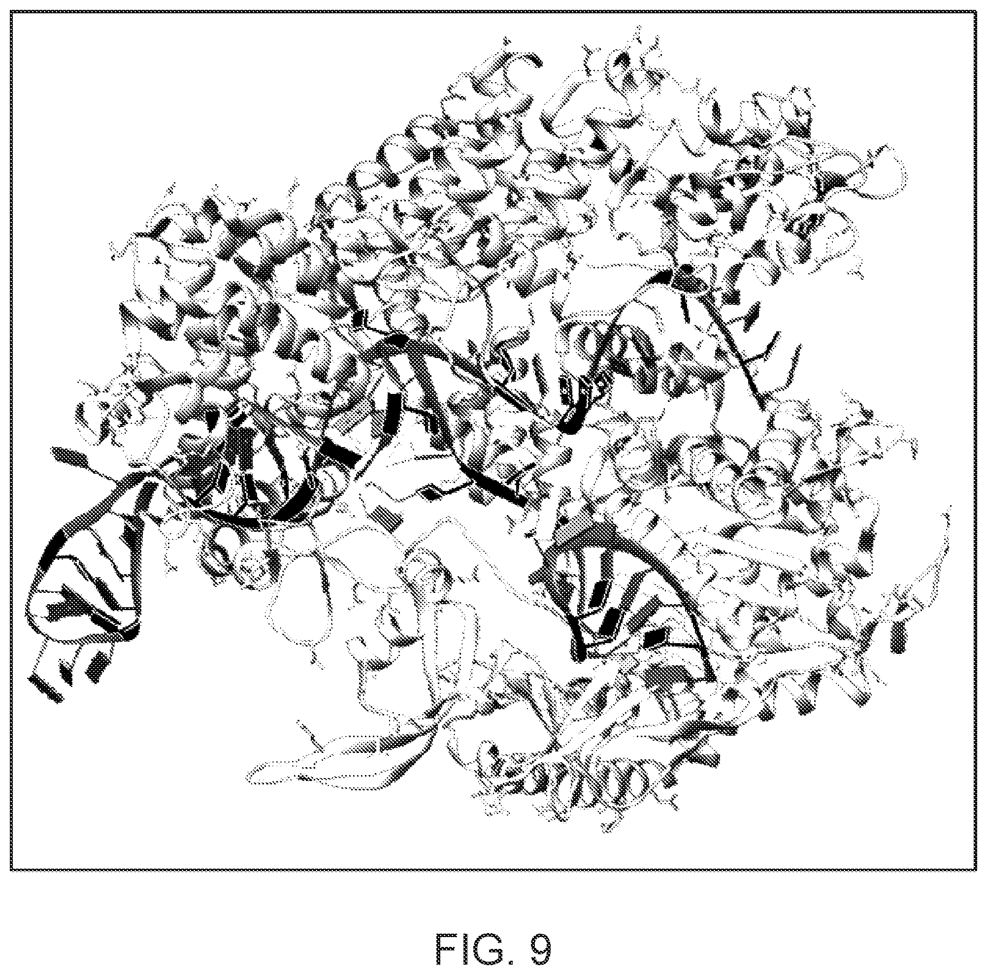 Patent US12139707 Figure 12 – Stabilized CRISPR complexes