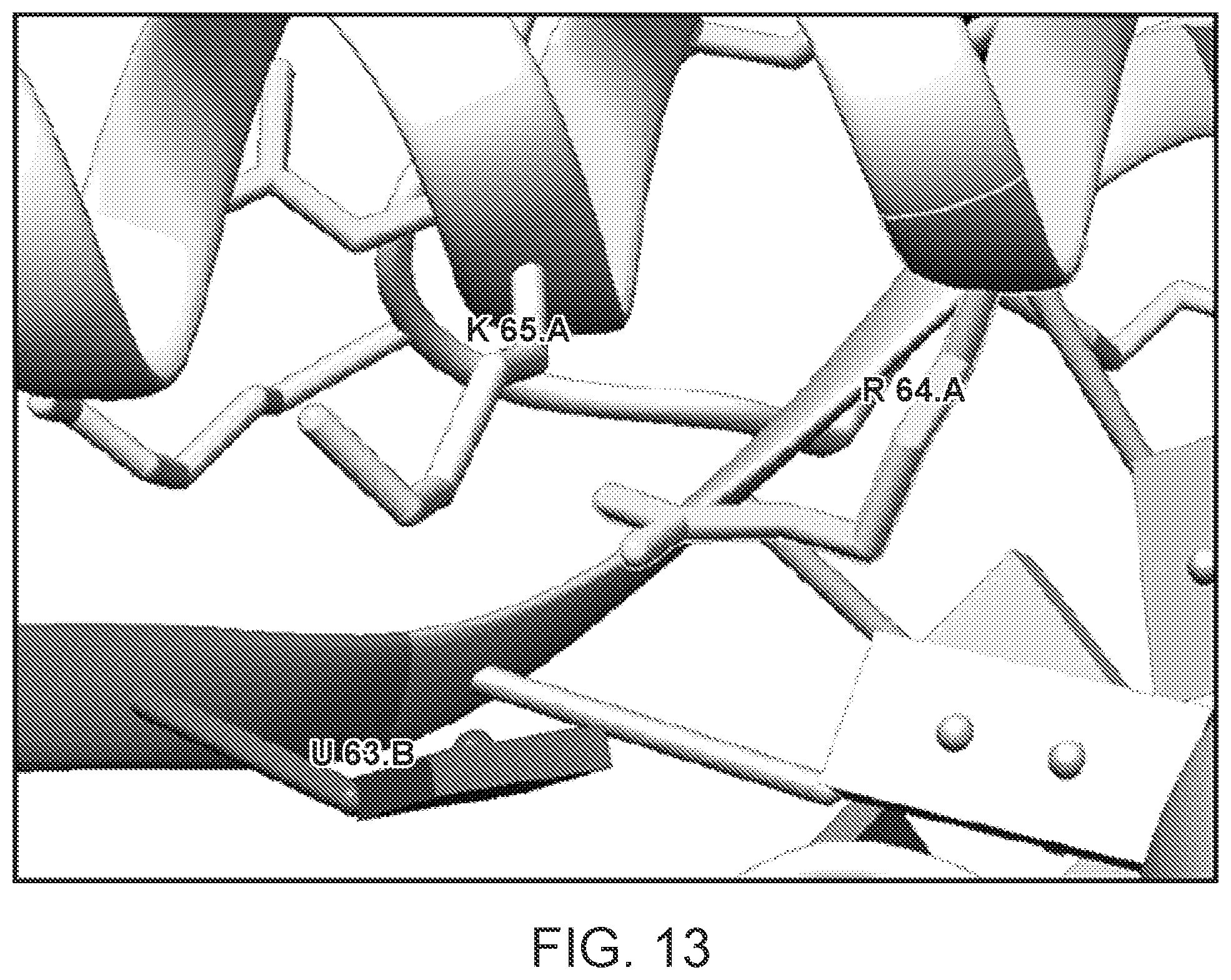 Patent US12139707 Figure 16 – Stabilized CRISPR complexes