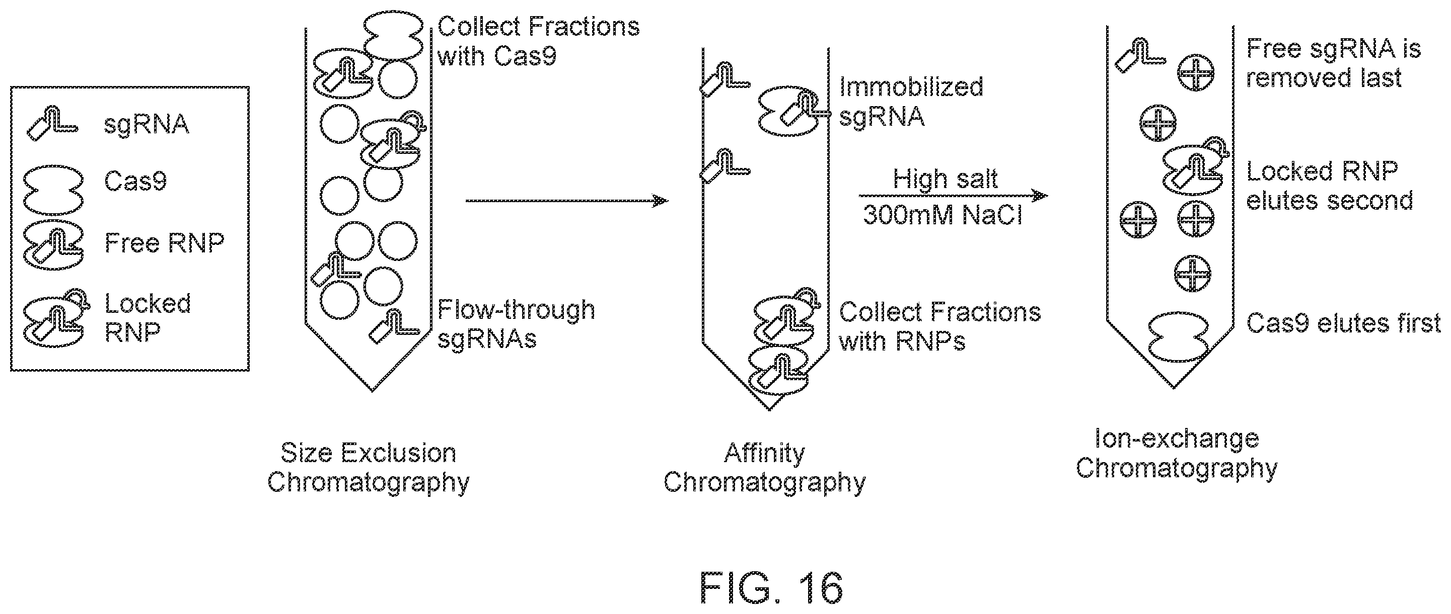 Patent US12139707 Figure 19 – Stabilized CRISPR complexes