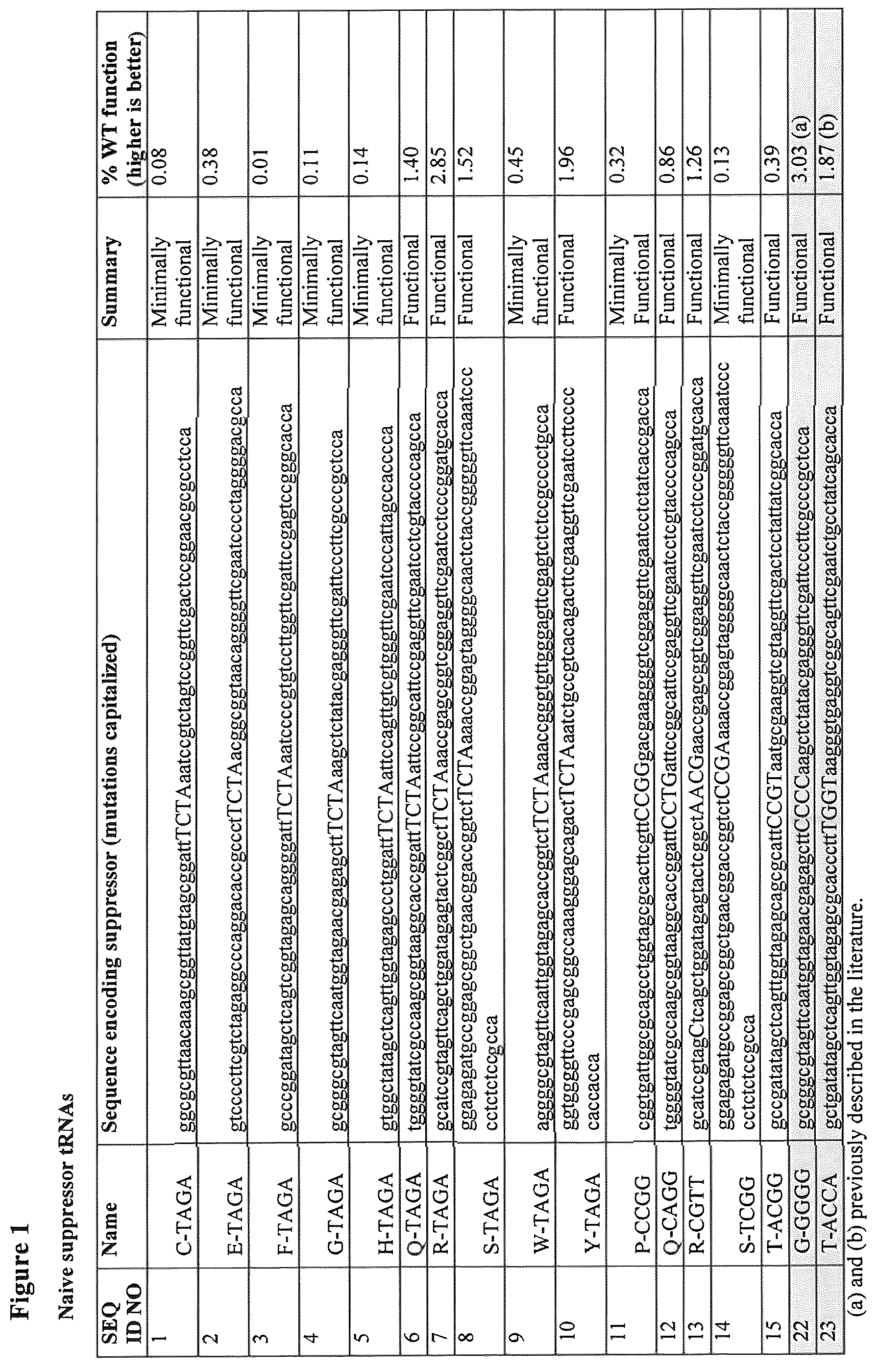 Patent US12139708 — Frameshift suppressor tRNA compositions and methods of use — Figure 1