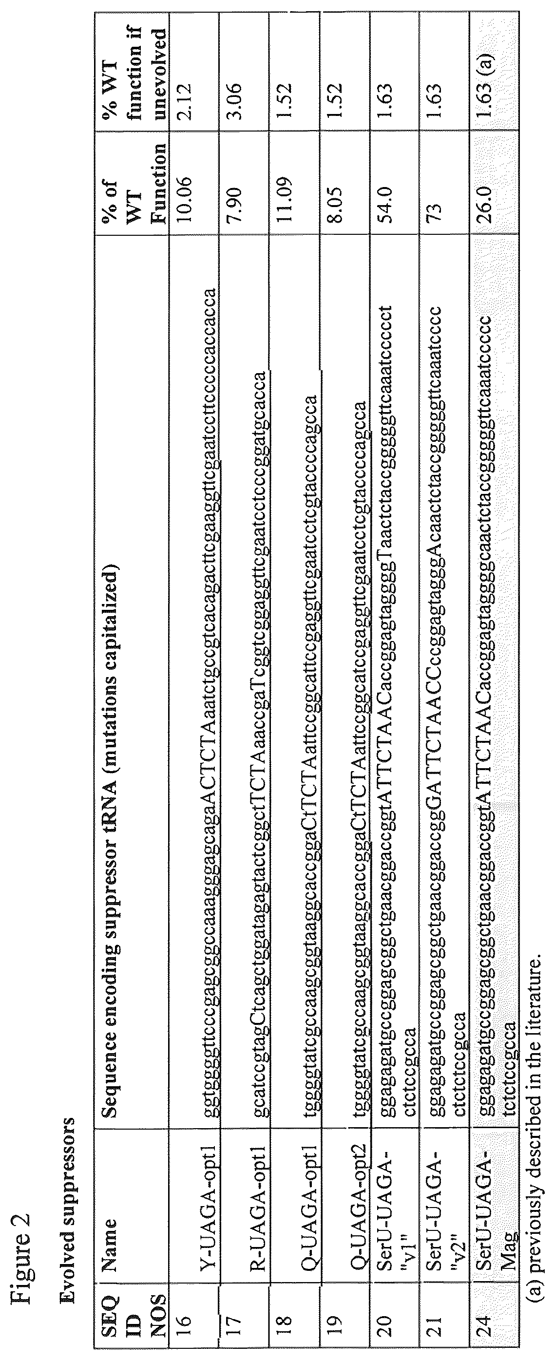 Patent US12139708 Figure 2 – Frameshift suppressor tRNA compositions and methods of use