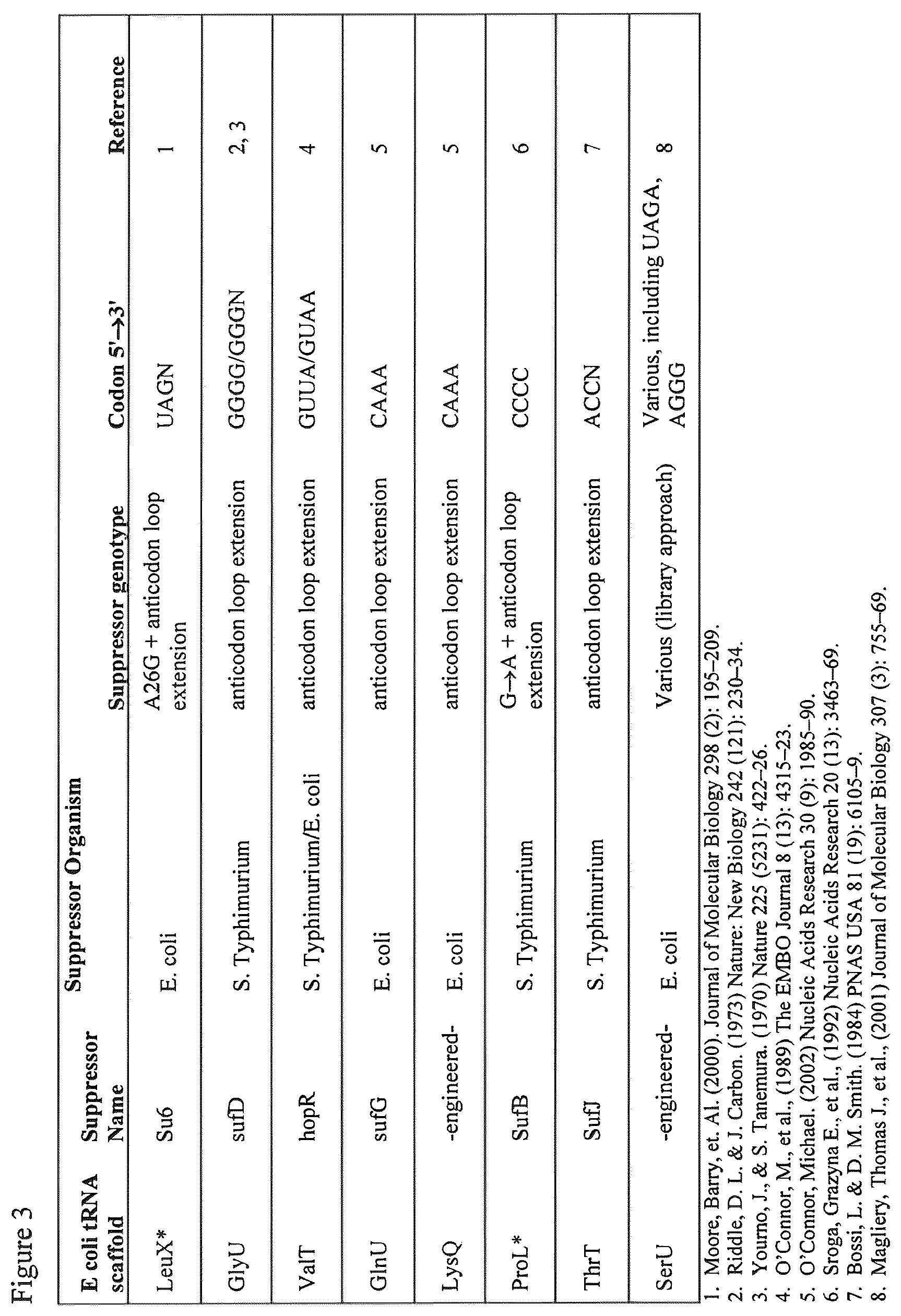 Patent US12139708 Figure 3 – Frameshift suppressor tRNA compositions and methods of use