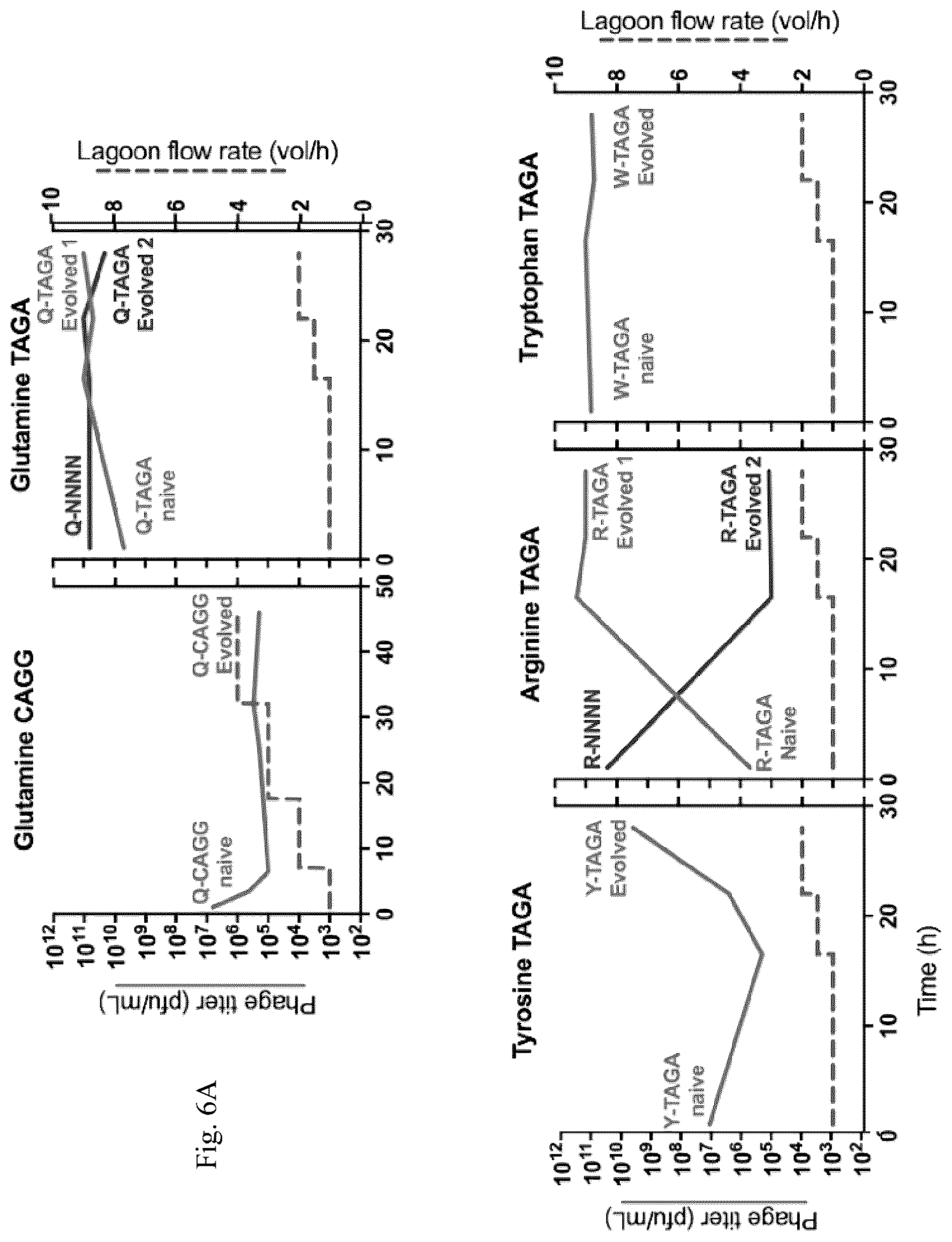 Patent US12139708 Figure 8 – Frameshift suppressor tRNA compositions and methods of use