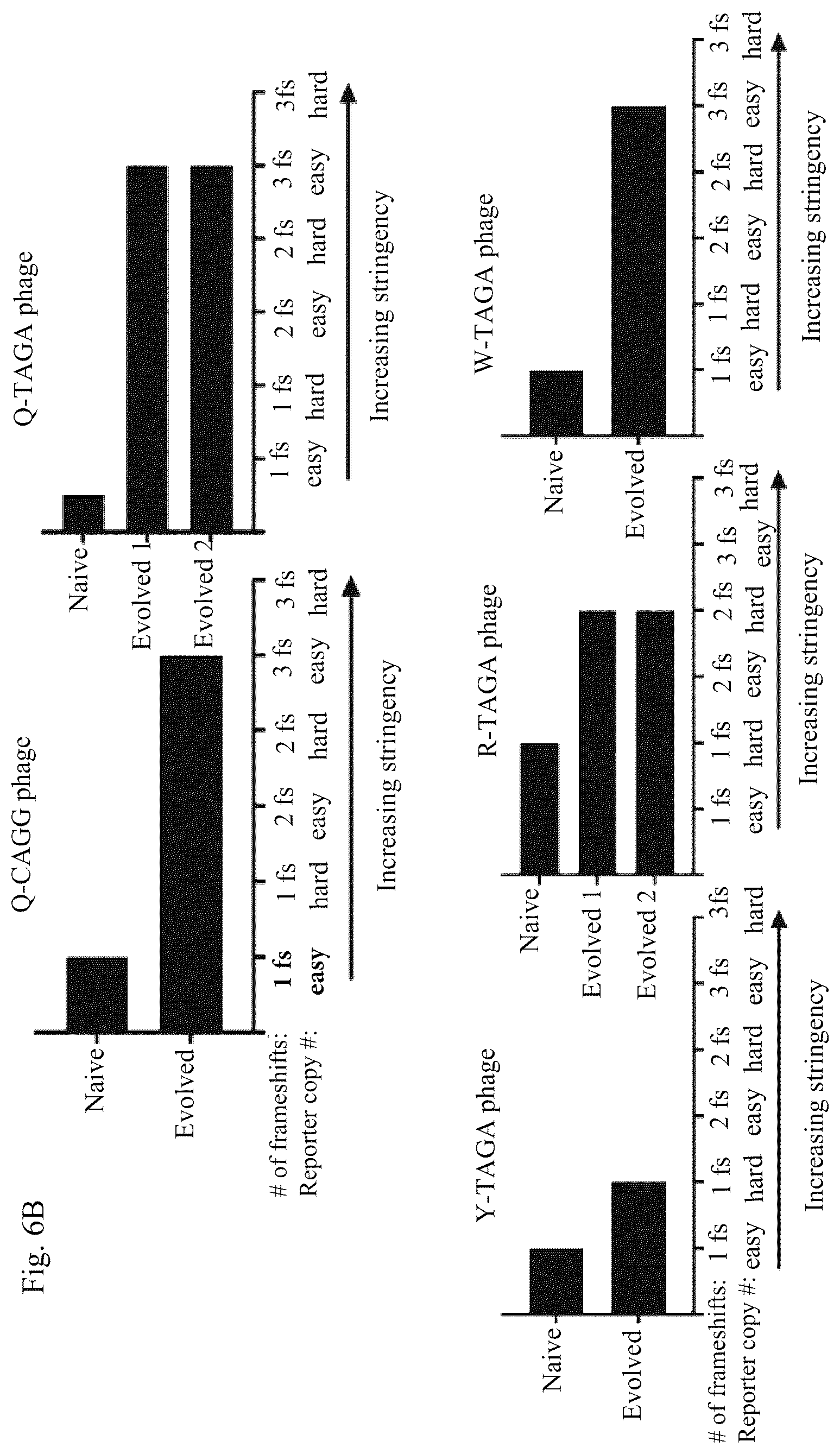Patent US12139708 Figure 9 – Frameshift suppressor tRNA compositions and methods of use