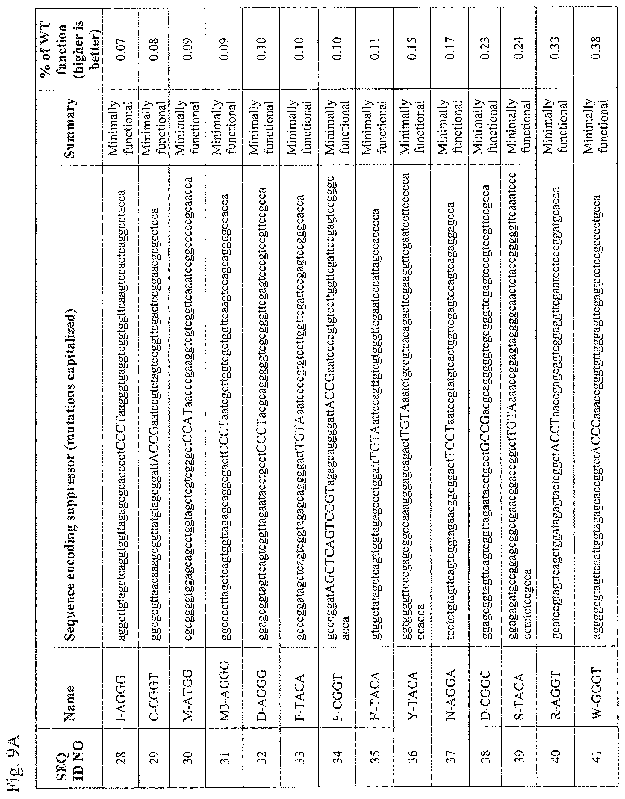 Patent US12139708 Figure 17 – Frameshift suppressor tRNA compositions and methods of use