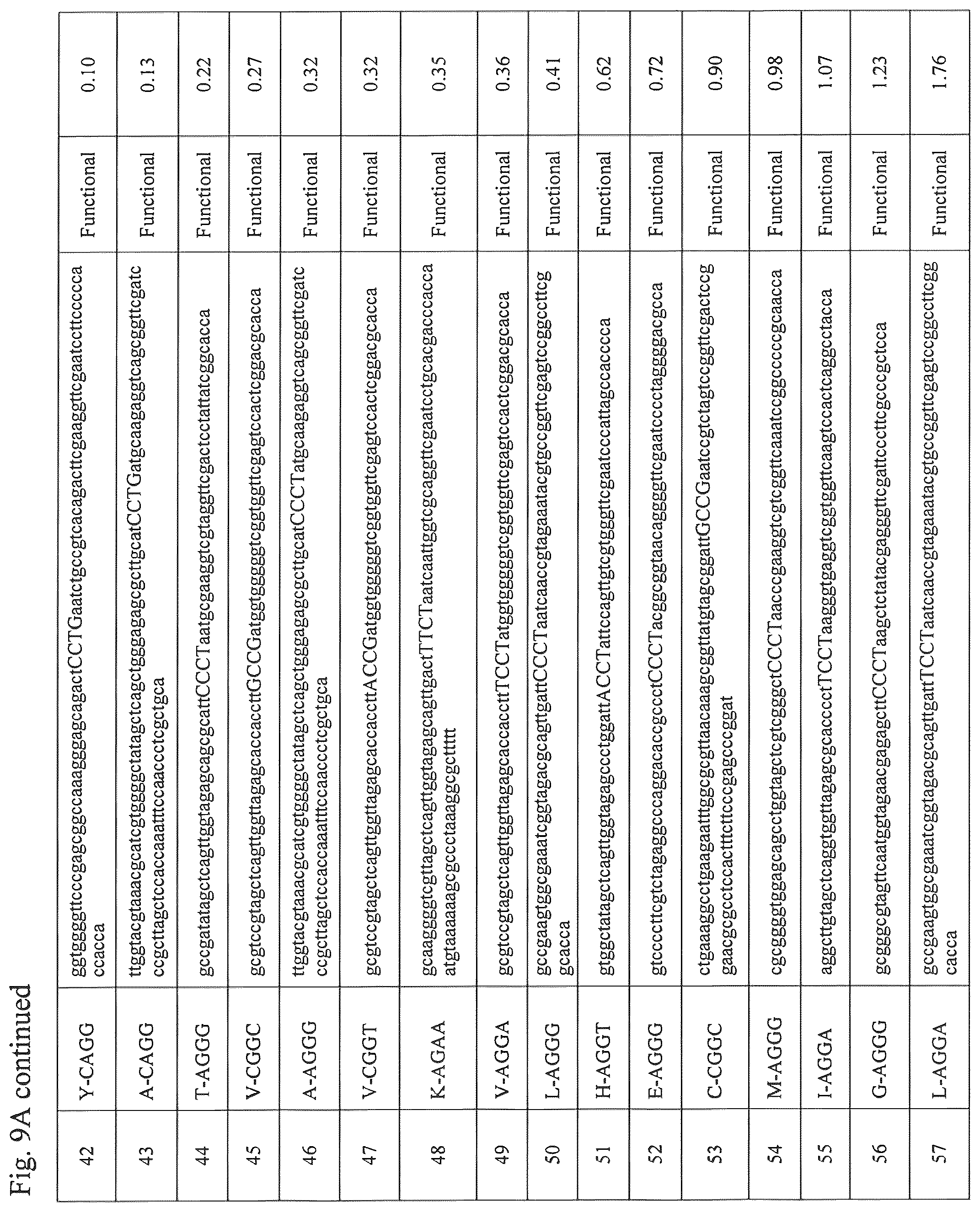 Patent US12139708 Figure 18 – Frameshift suppressor tRNA compositions and methods of use