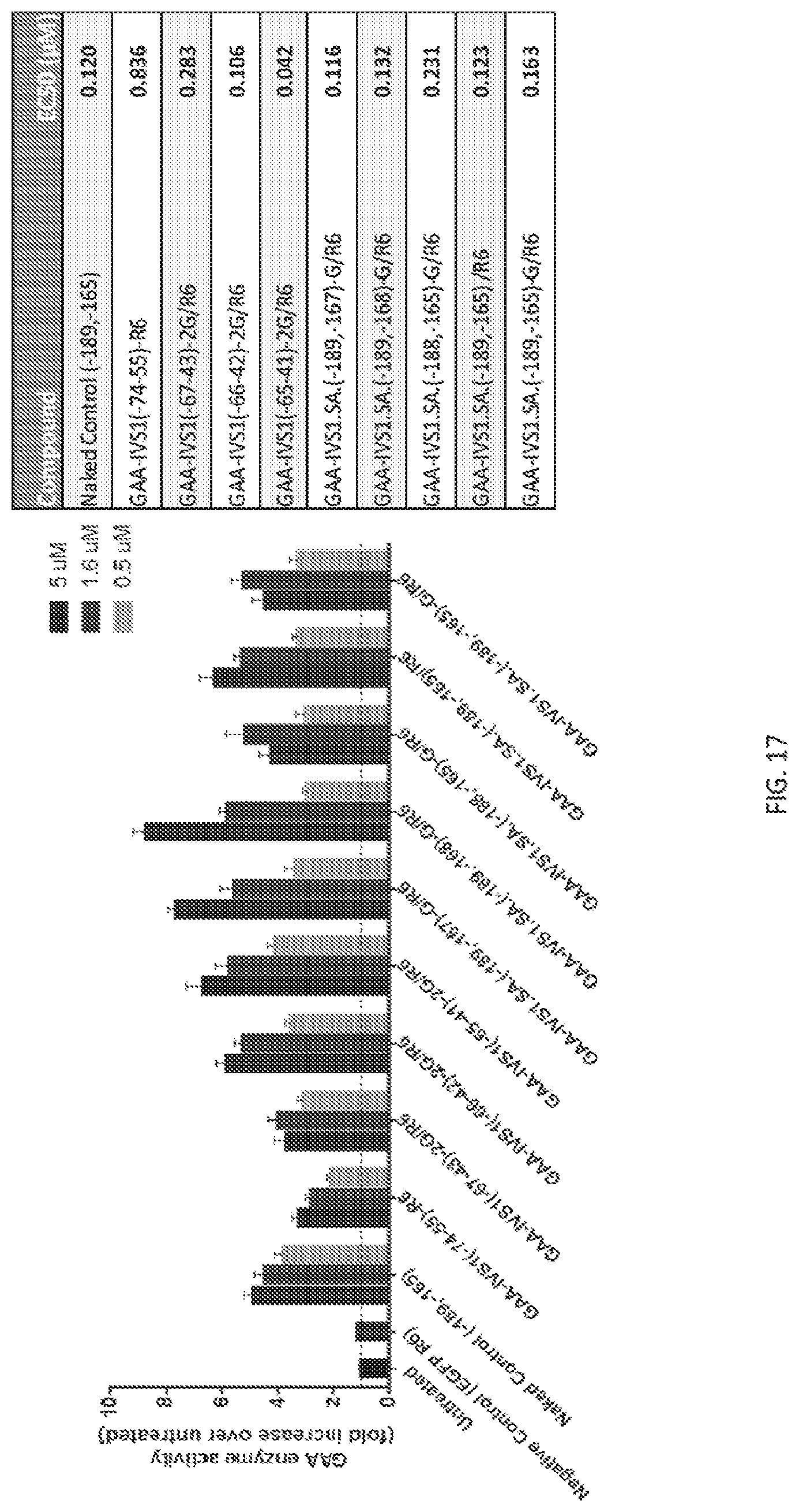 Patent US12139709 Figure 20 – Antisense oligomers and methods of using the same for treating diseases associated with the acid alpha-glucosidase gene