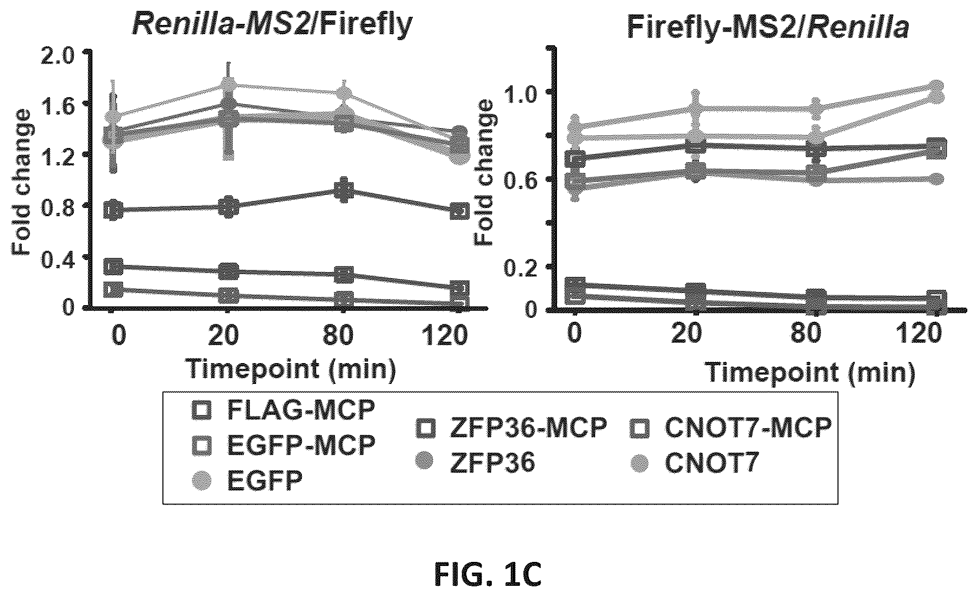 Patent US12139710 Figure 2 – Methods of modulating RNA translation