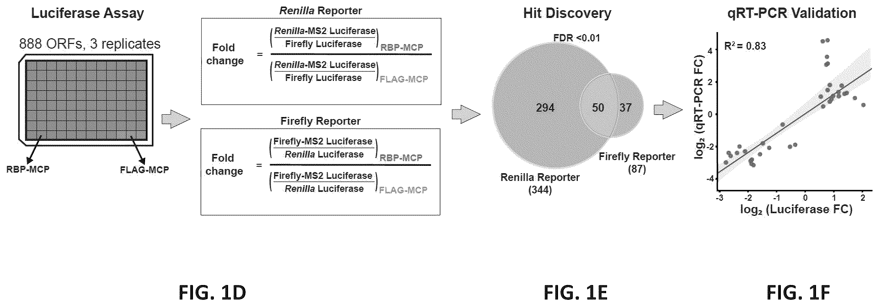 Patent US12139710 Figure 3 – Methods of modulating RNA translation
