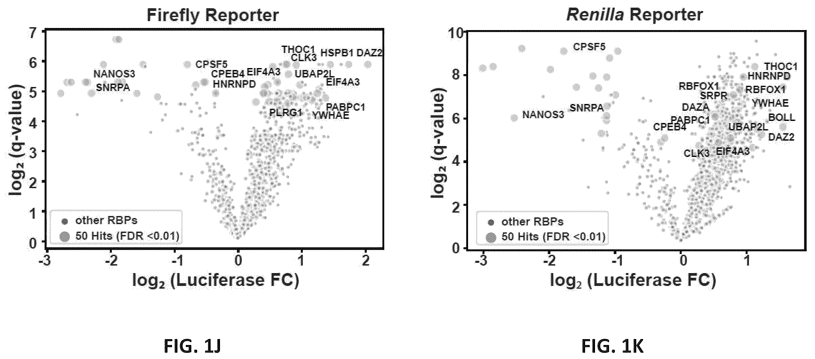 Patent US12139710 Figure 6 – Methods of modulating RNA translation
