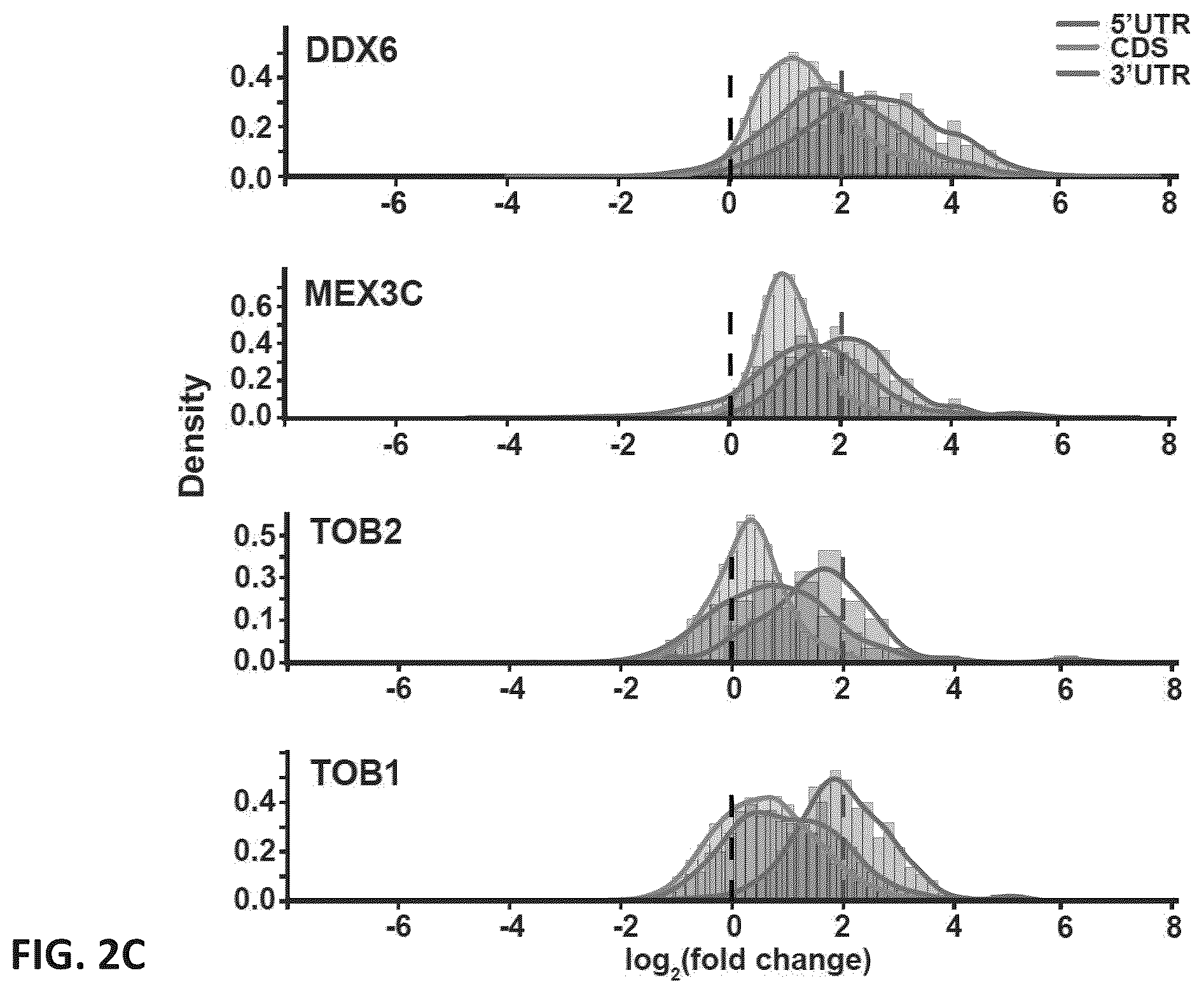 Patent US12139710 Figure 10 – Methods of modulating RNA translation